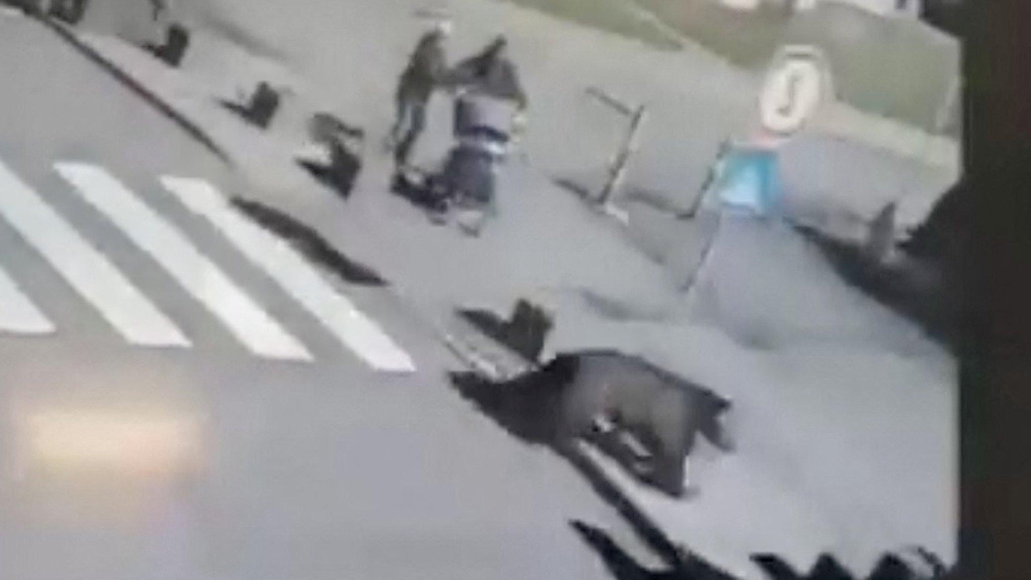 A brown bear runs across a road next to a zebra crossing in the town of Liptovsky Mikulas, Slovakia on 17 March