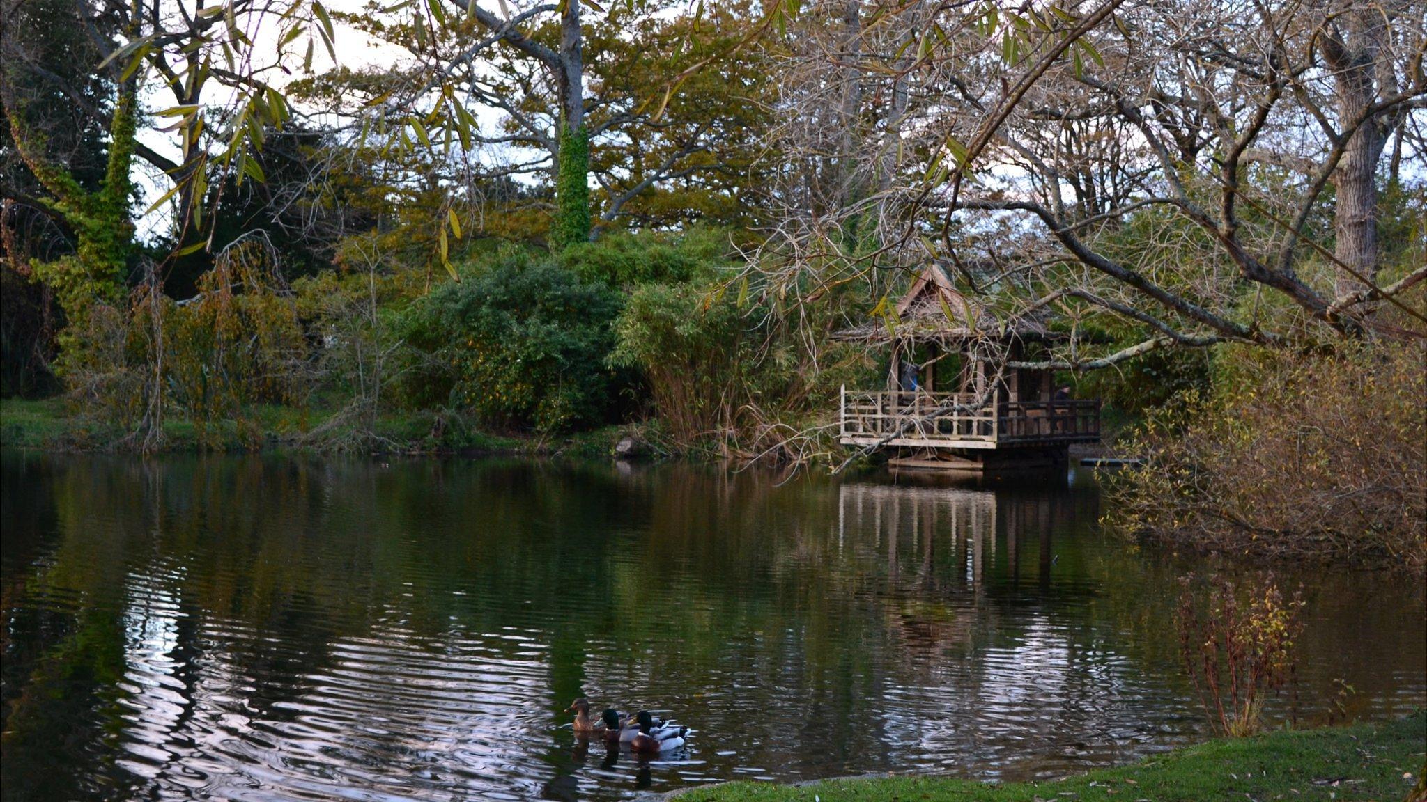 Saumarez Park pond and hut