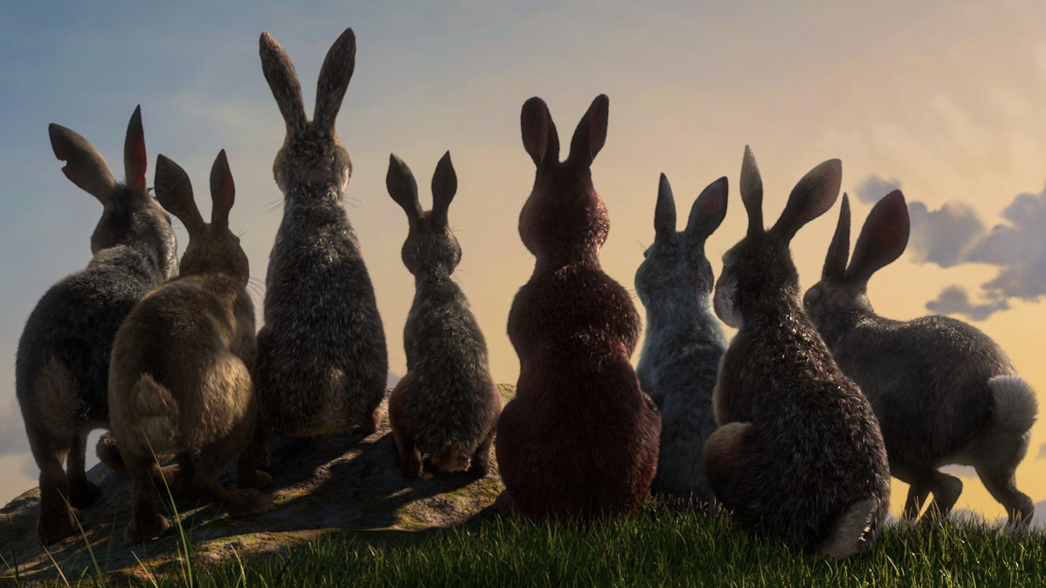 2018 Watership Down series