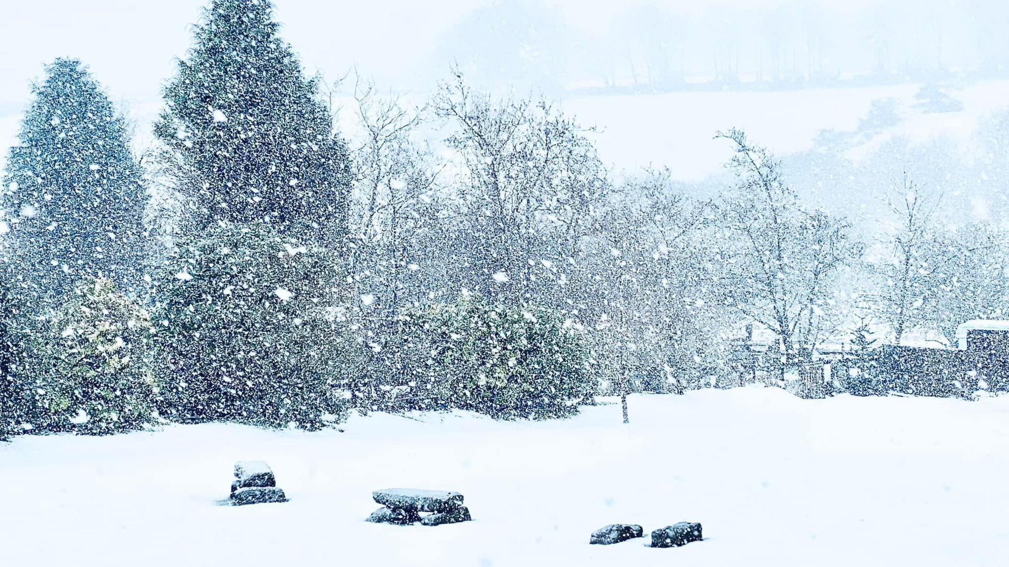 Snow falls on a field and trees and some stone benches with a wall on the right