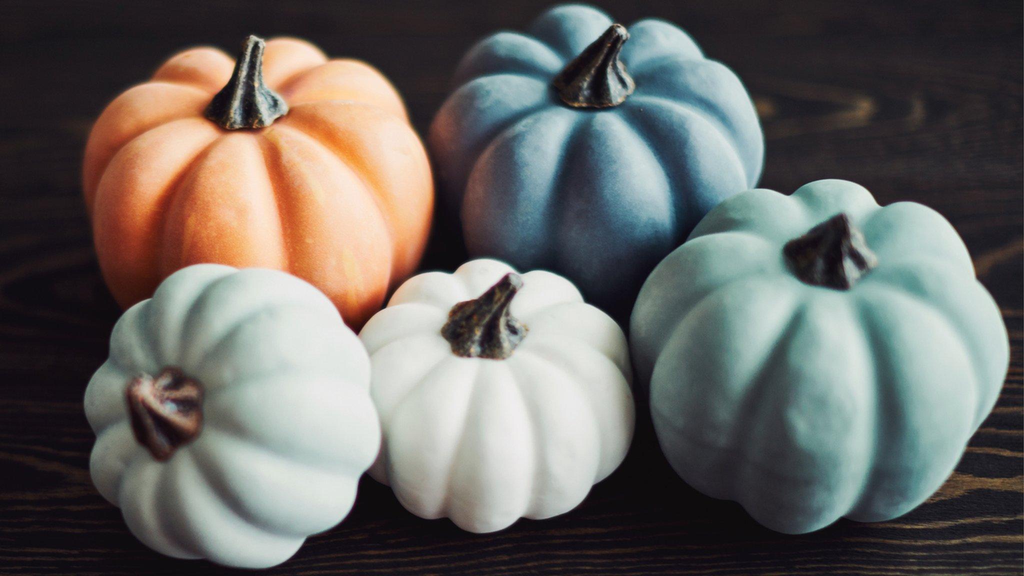 colourful-pumpkins.