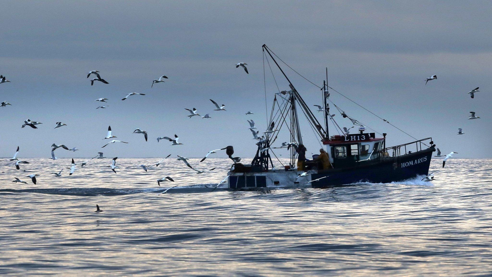 Fishing boat