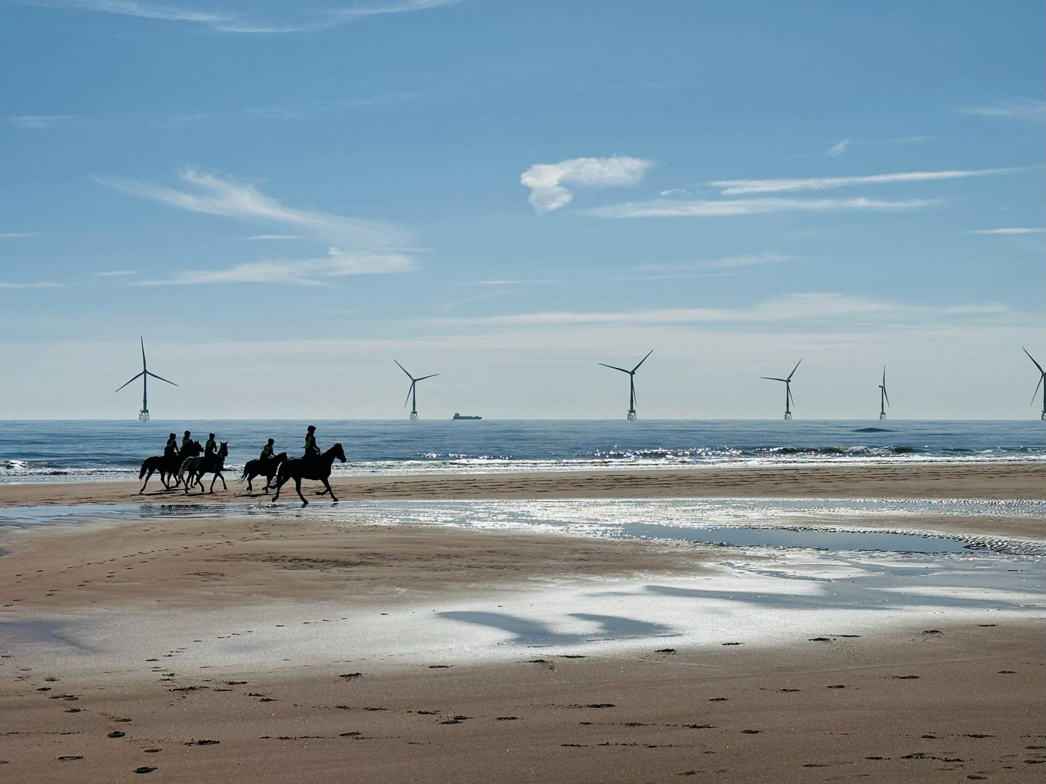 Landscape image of five people riding horses on a beach with wind turbines in the distance