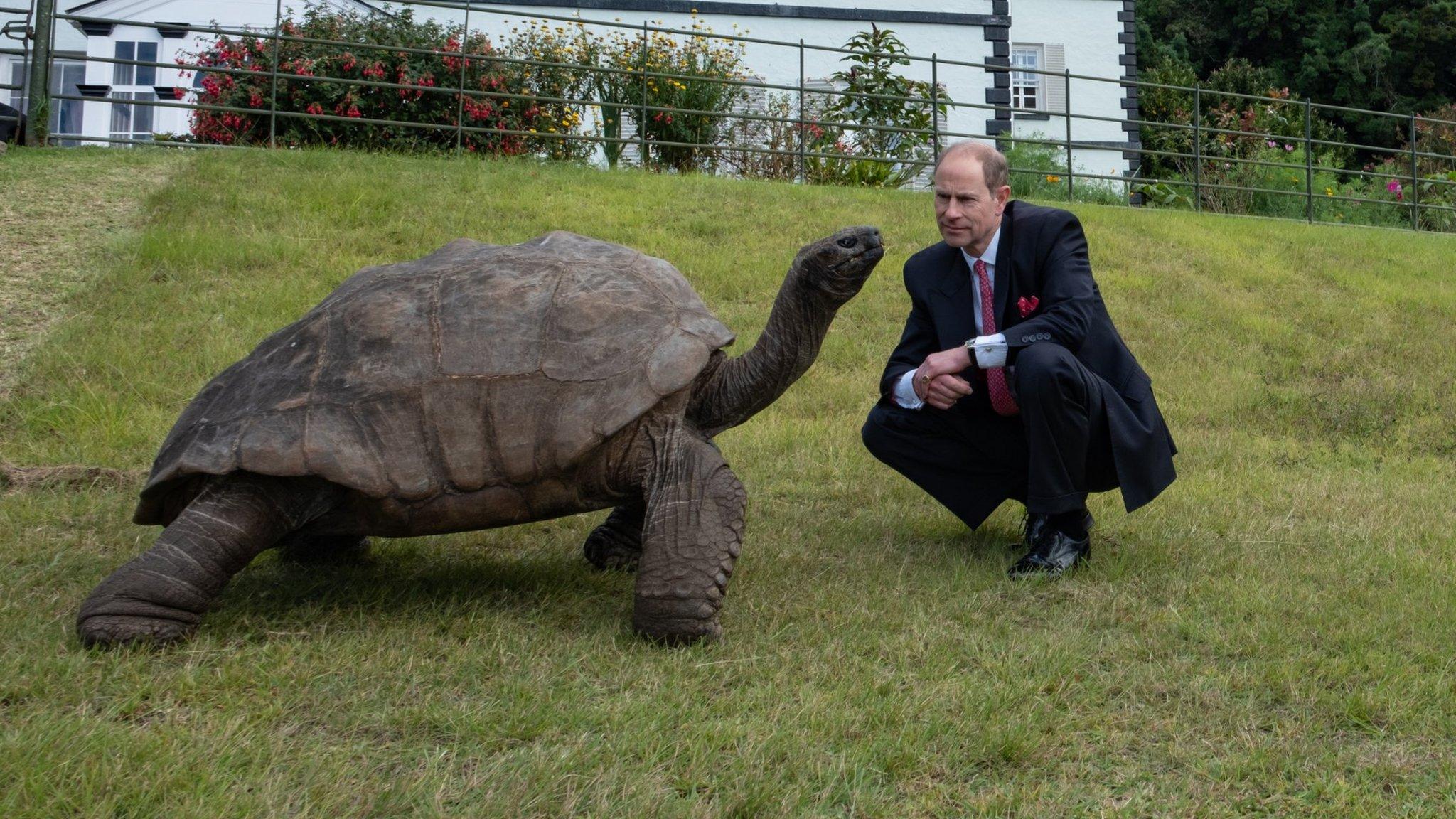 jonathan the tortoise meets prince andrew