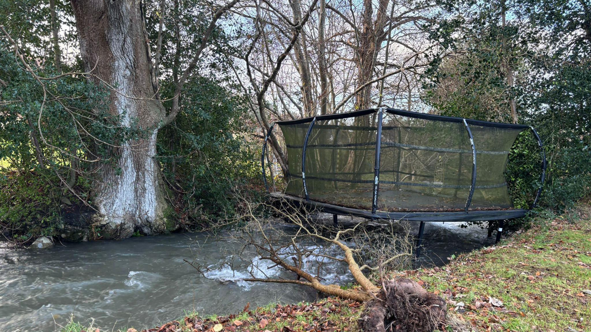 A trampoline sitting upright in the middle of a stream. And small tree is also uprooted and lying across the river 