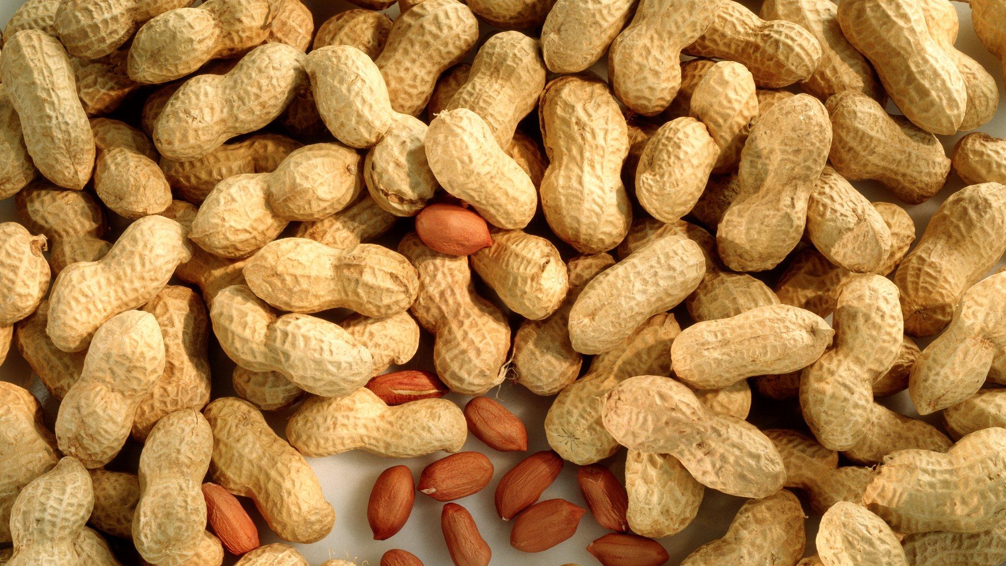 Peanuts, shelled and unshelled