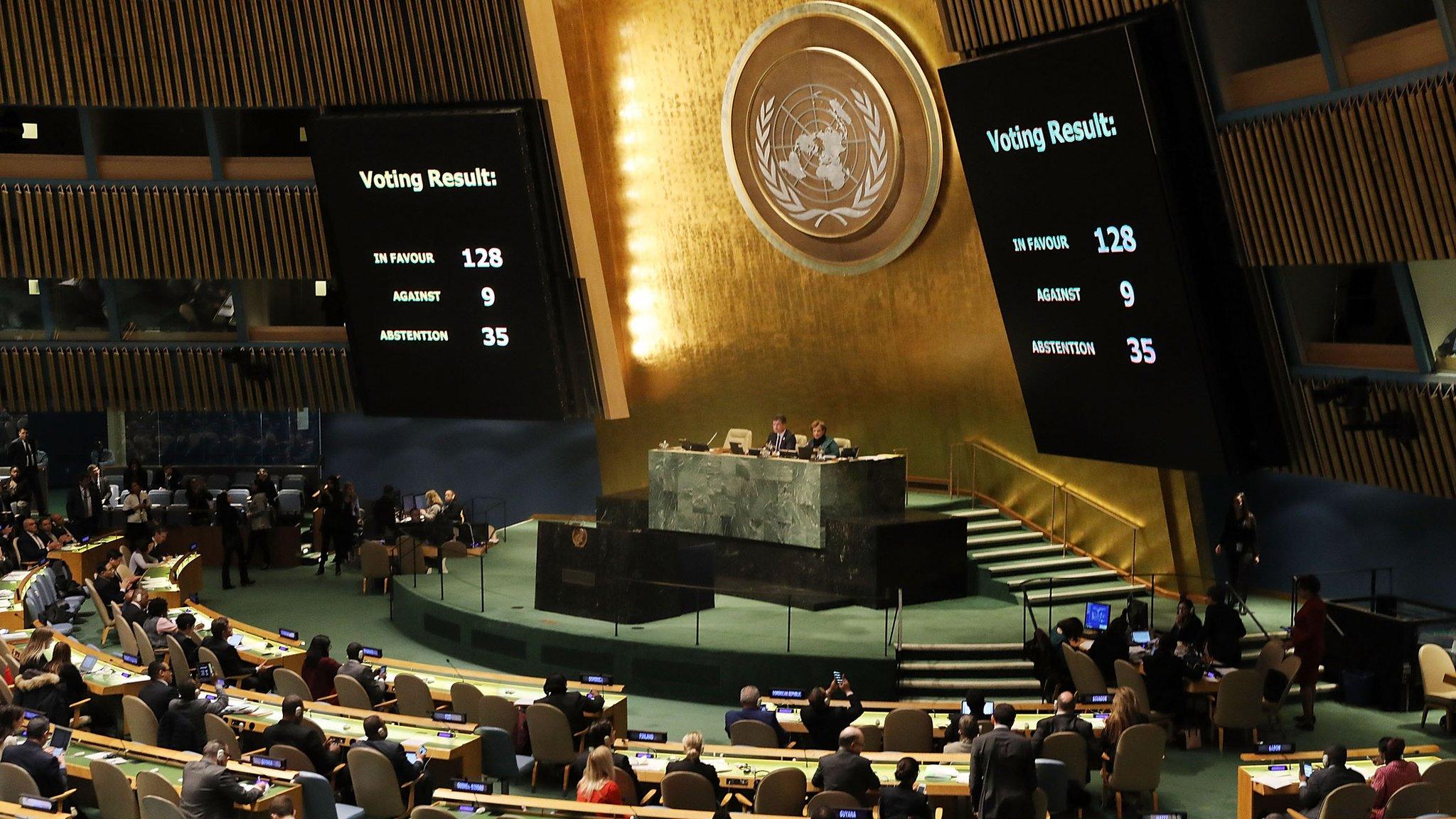 The United Nations General Assembly