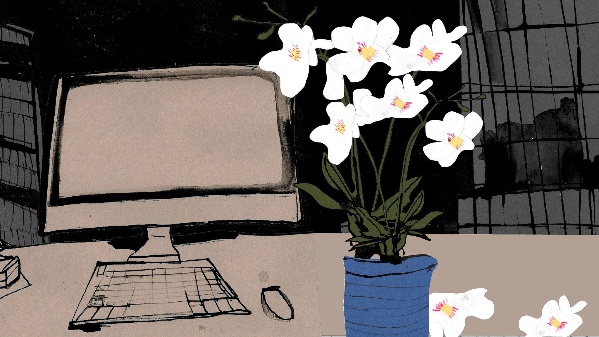 illustration of desktop monitor and plant