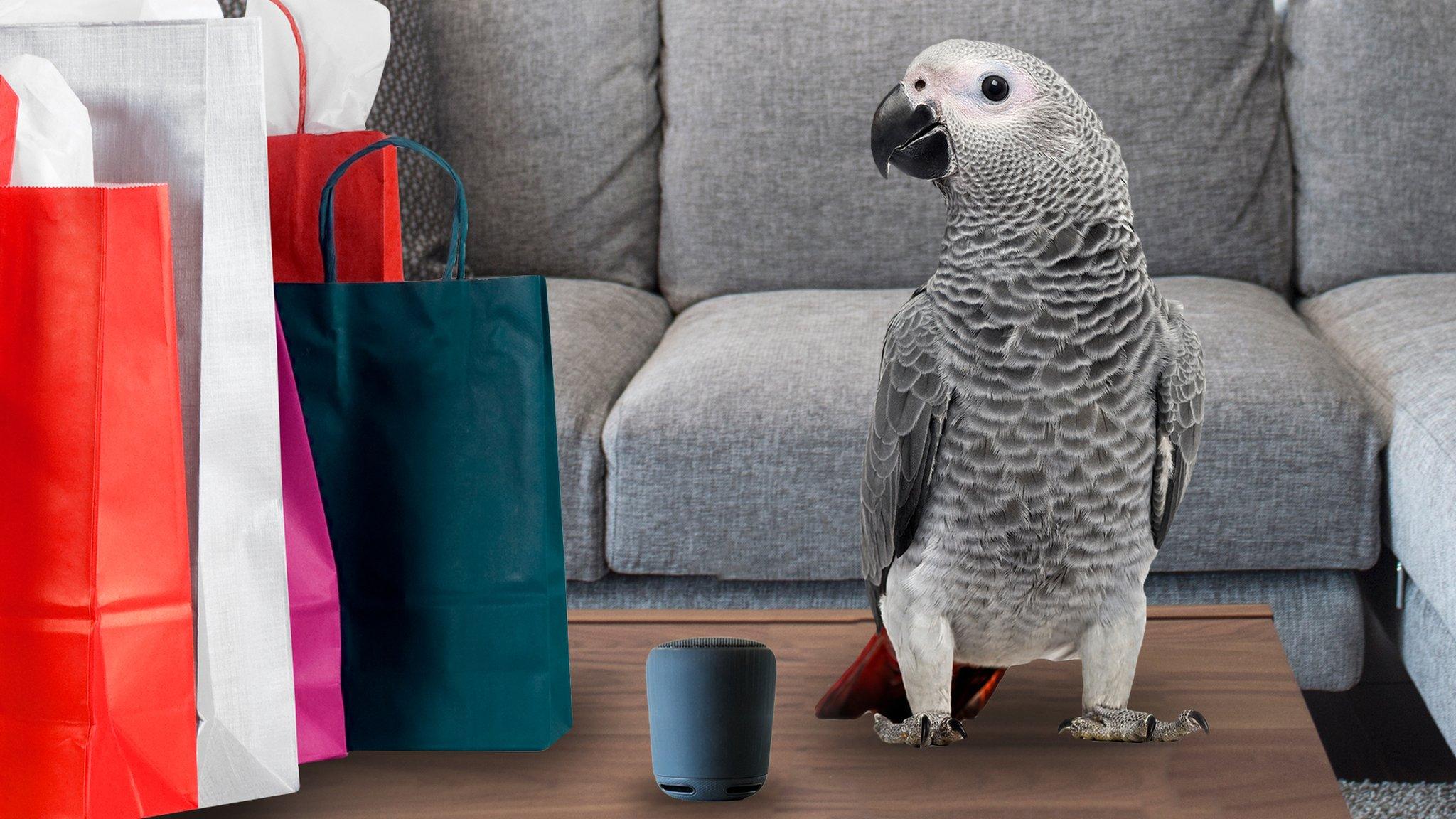 A parrot with shopping