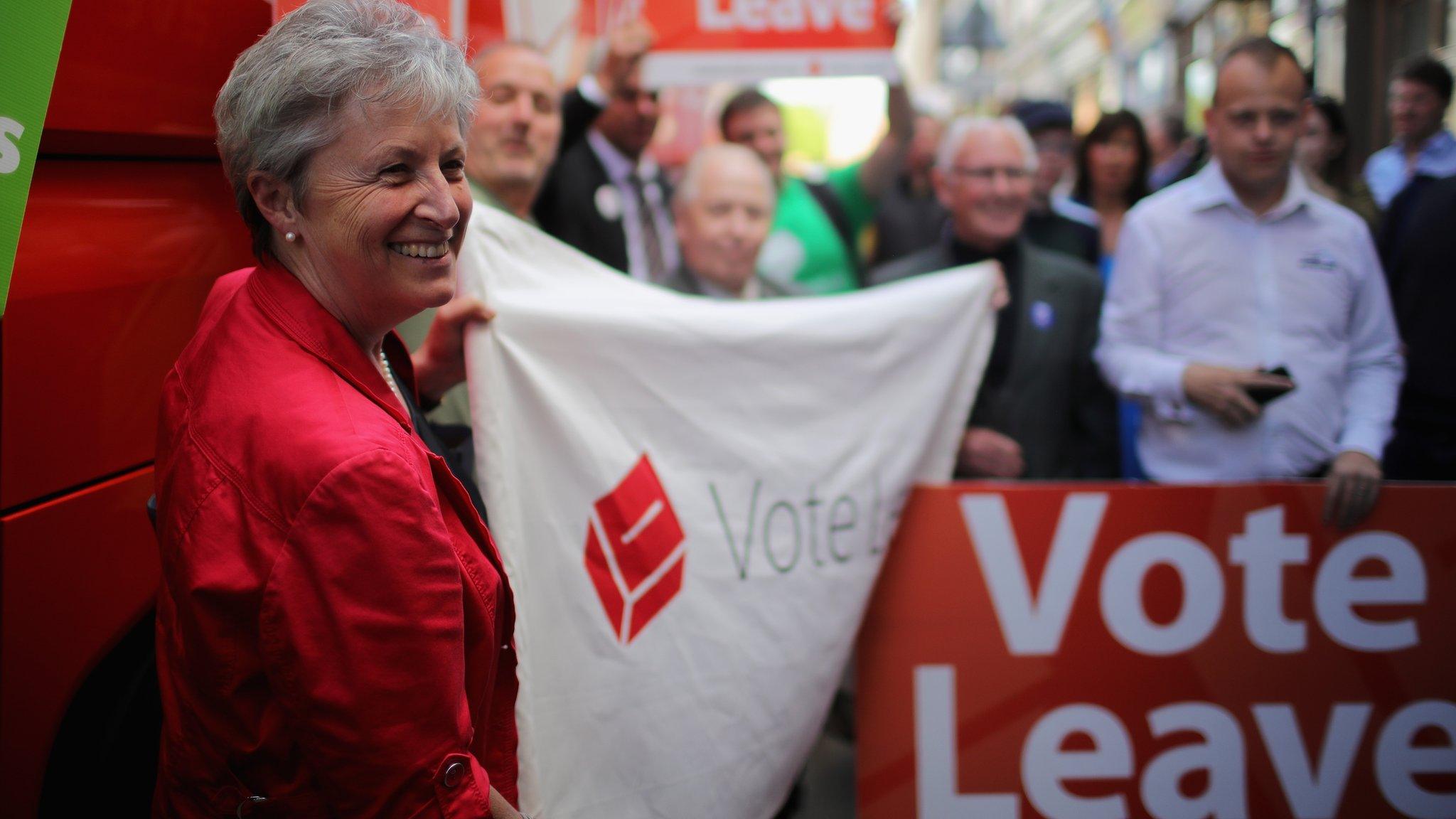 Gisela Stuart campaigning for Vote Leave in 2016