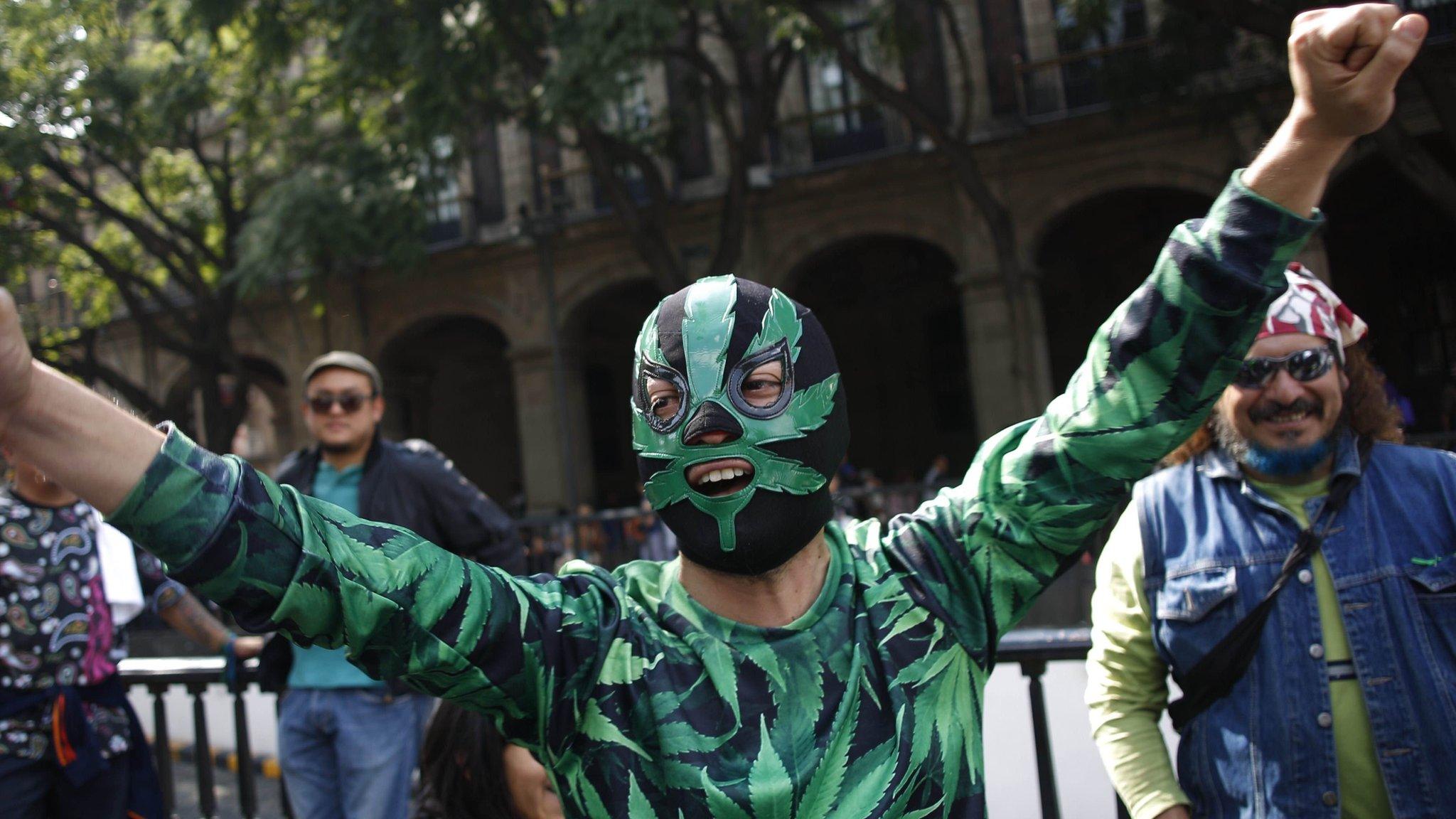 A supporter of marijuana legalisation celebrates