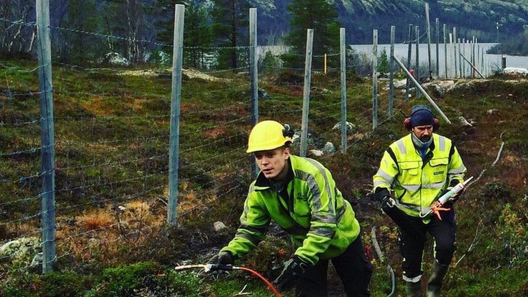 Contractors working on the border fence