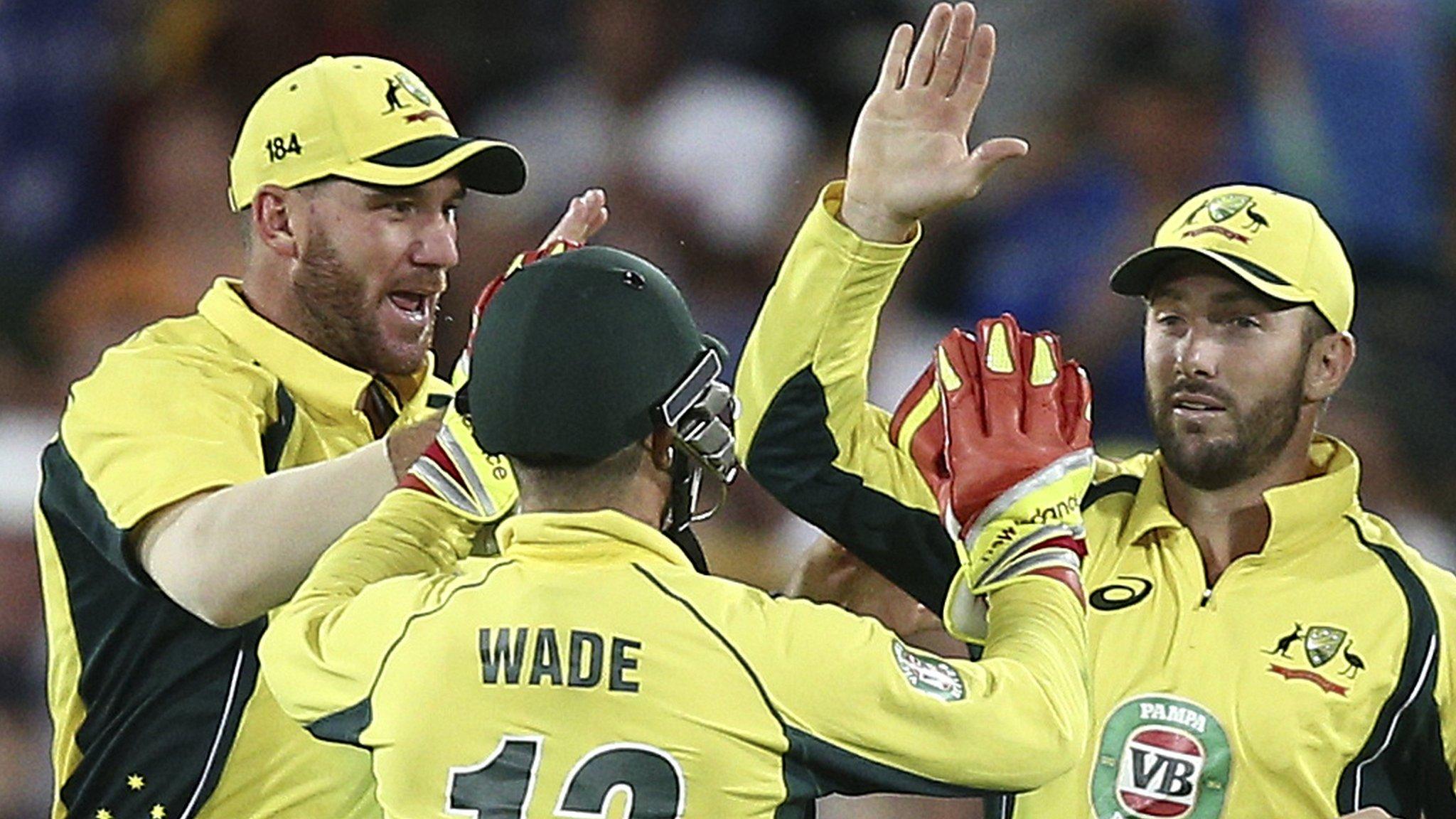 Australia celebrate a wicket