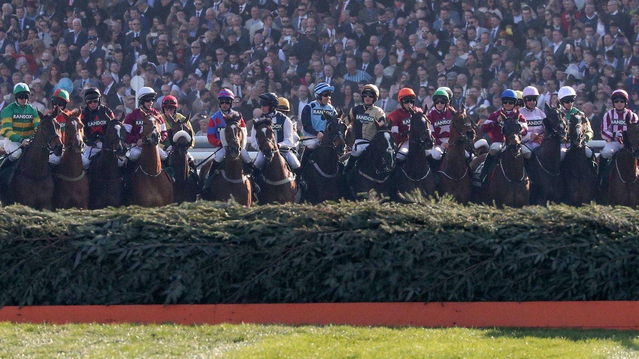 Runners in the Grand National