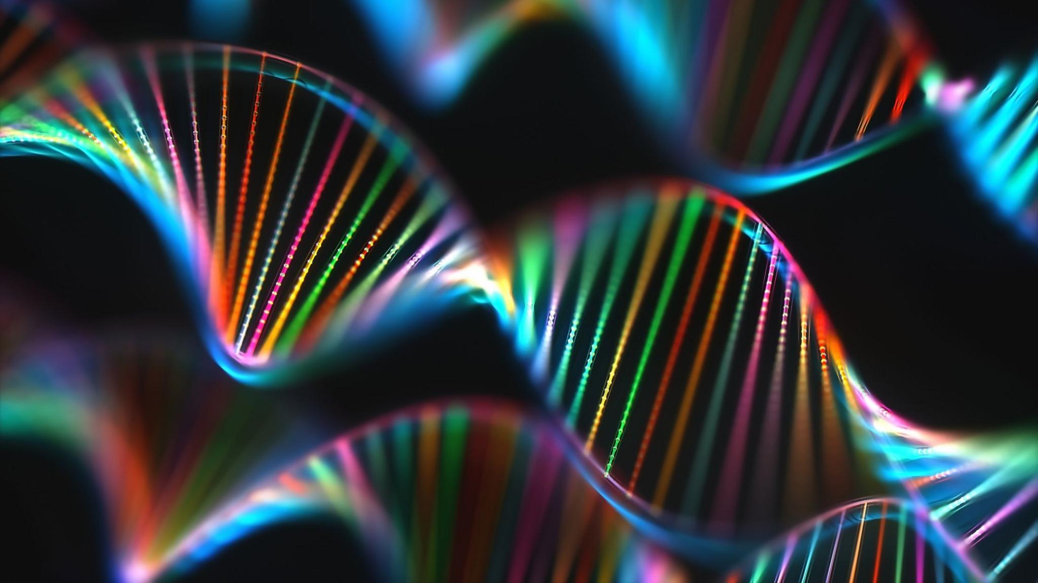 DNA