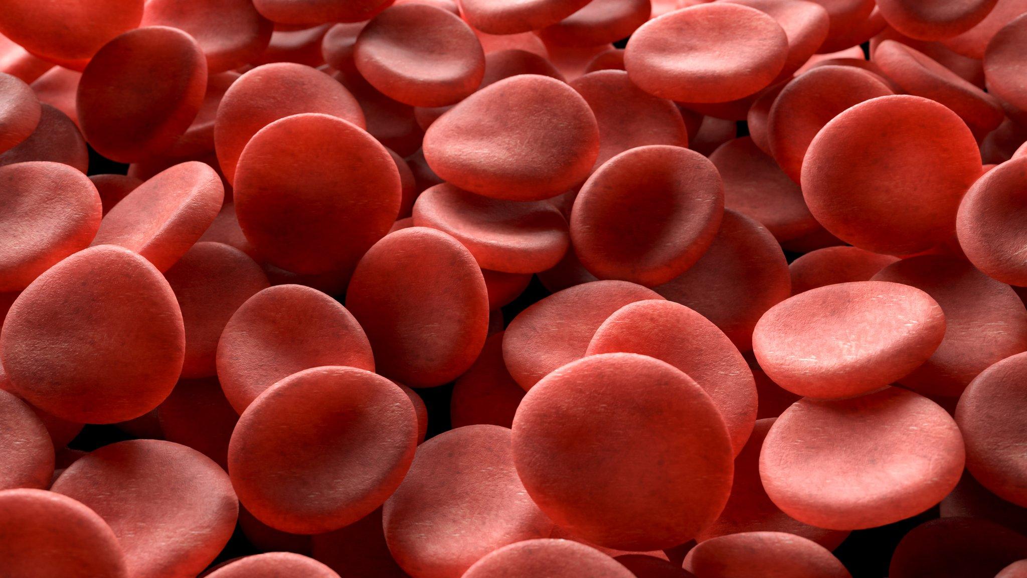 Red blood cells