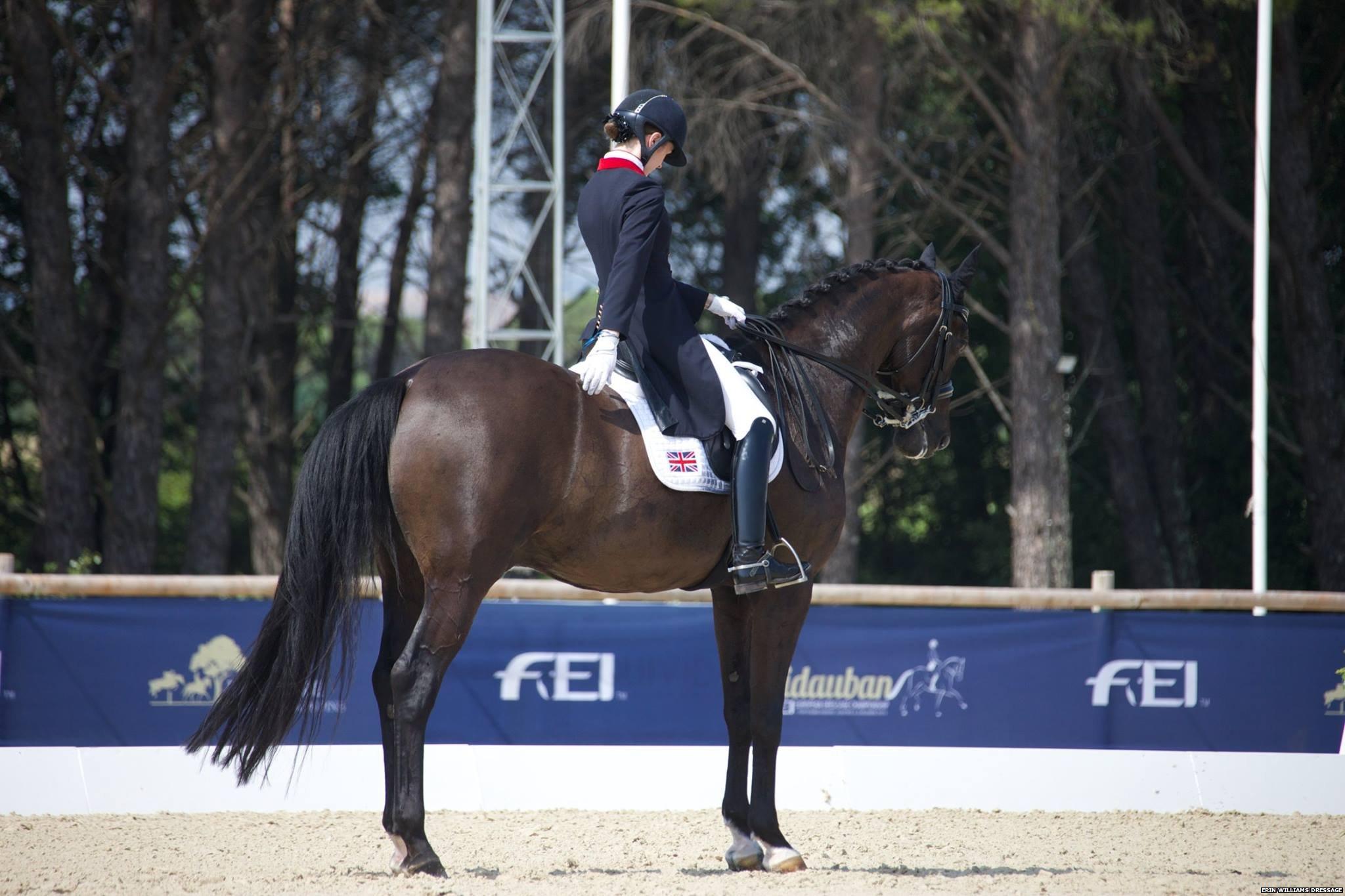 A picture of a horse and rider doing dressage, posted on Facebook by Erin Williams Dressage, as part of the #blueforBonnie campaign