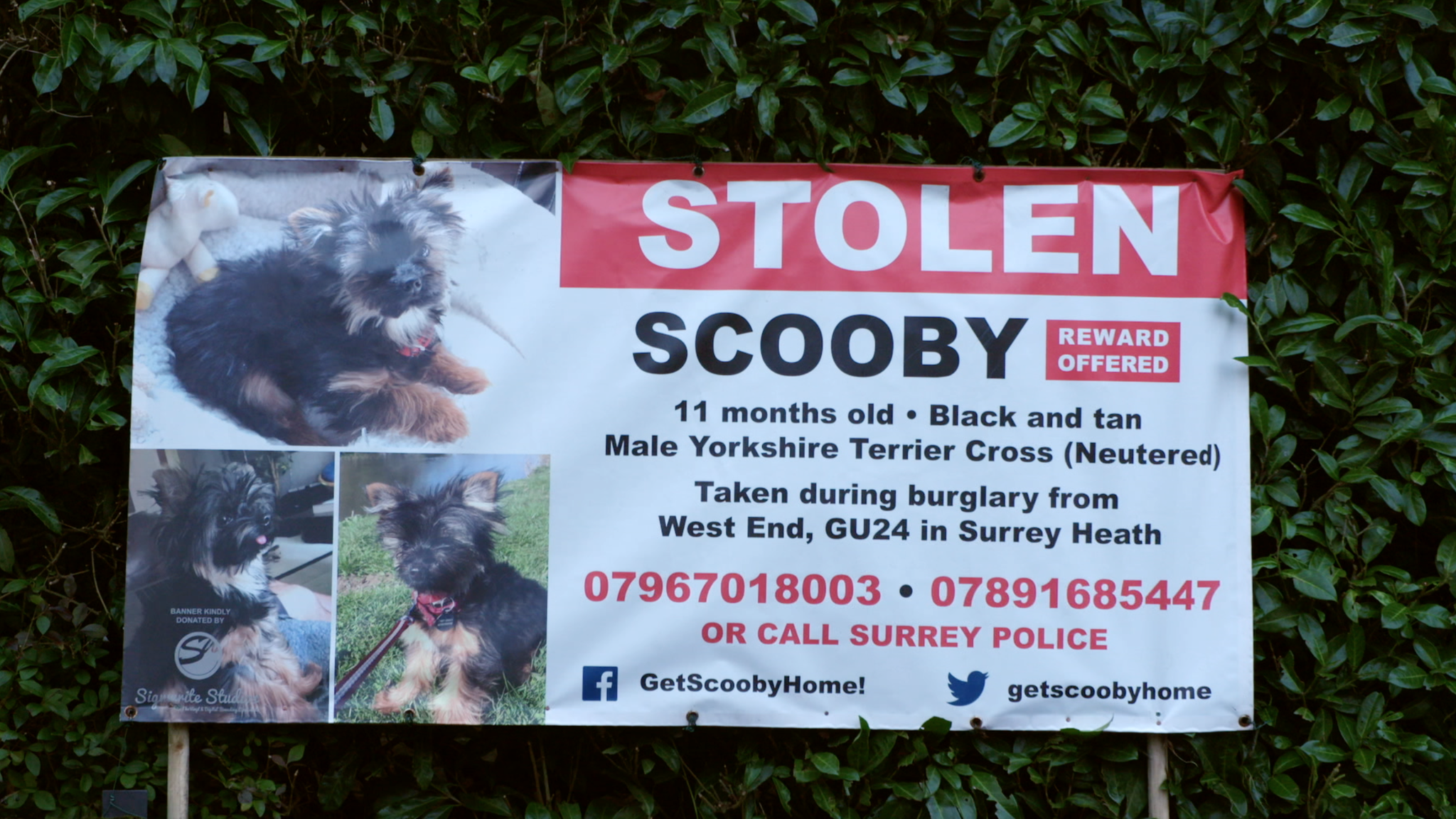 Stolen sign appealing for information