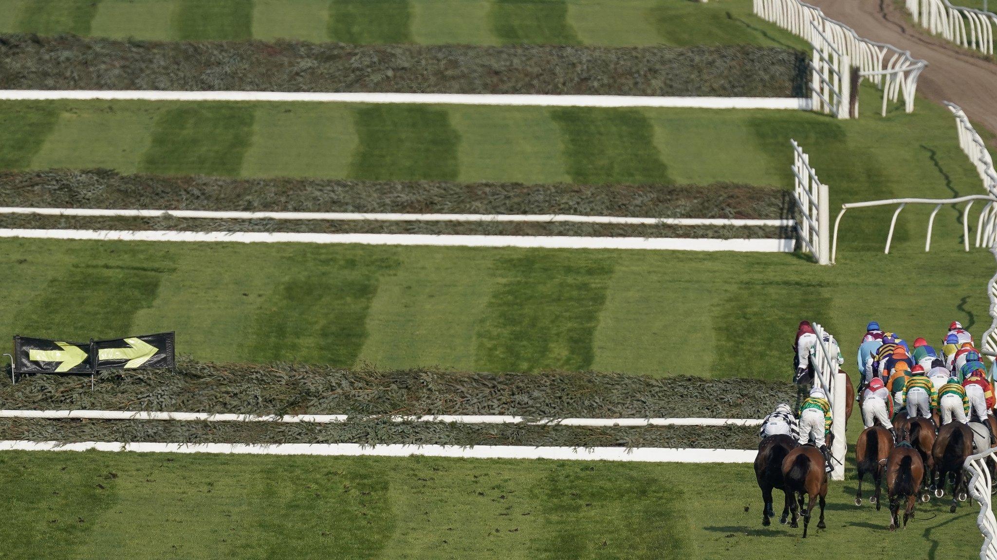 Horses in the 2023 Grand National bypass a fence after Hill Sixteen died during the race