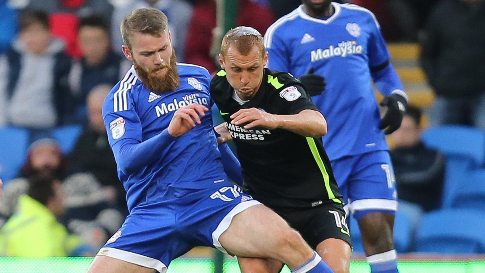 Aron Gunnarsson and Steve Sidwell