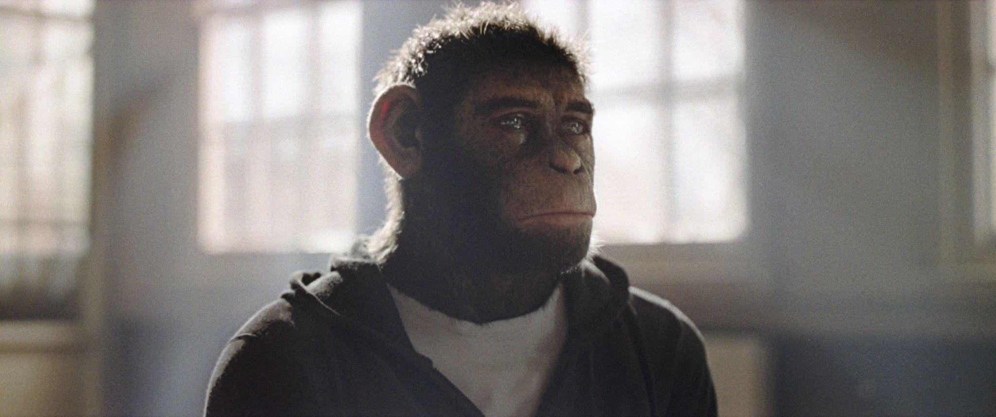 A tearful-looking cinematic monkey version of the singer