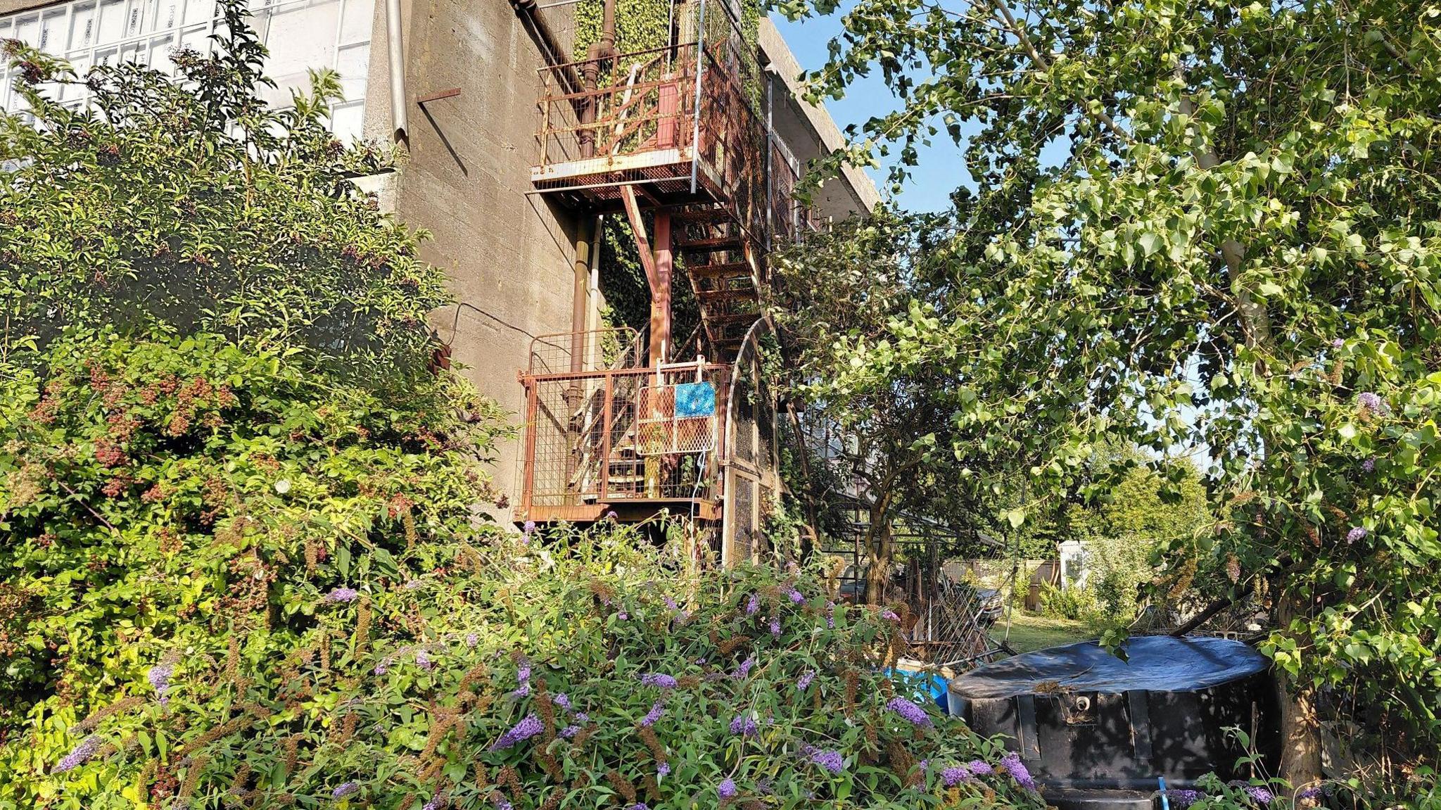 An exterior view of the factory building, showing overgrown plants all over the building