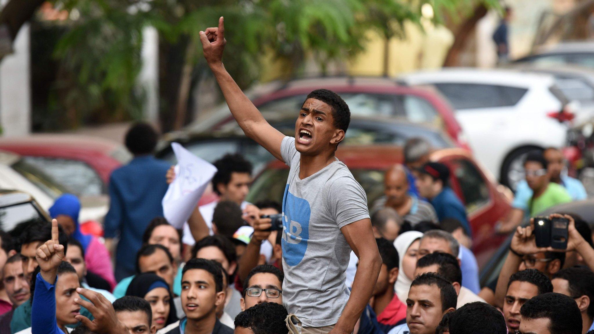 Anti-government protesters in Cairo (25 April 2016)