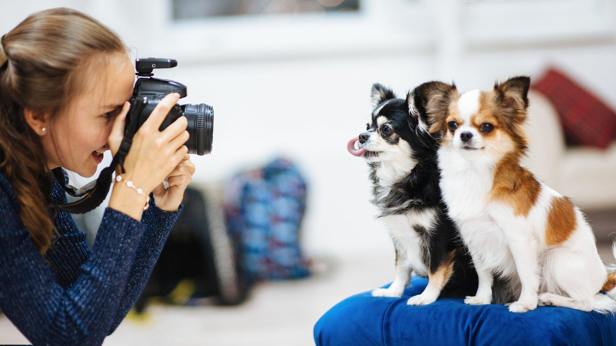 girl taking pet photos