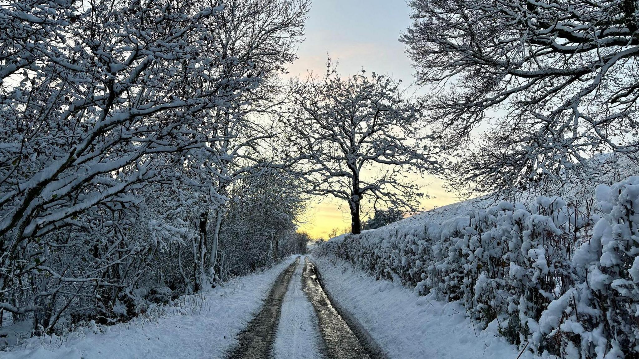 A snow-covered country lane. The trees, hedgerows and verges on either side of the road are blanketed in snow. the road has two tracks where tyres of vehicles has melted the snow into two dark lines that run to the top of the picture where the sun is setting in a yellow sky. 