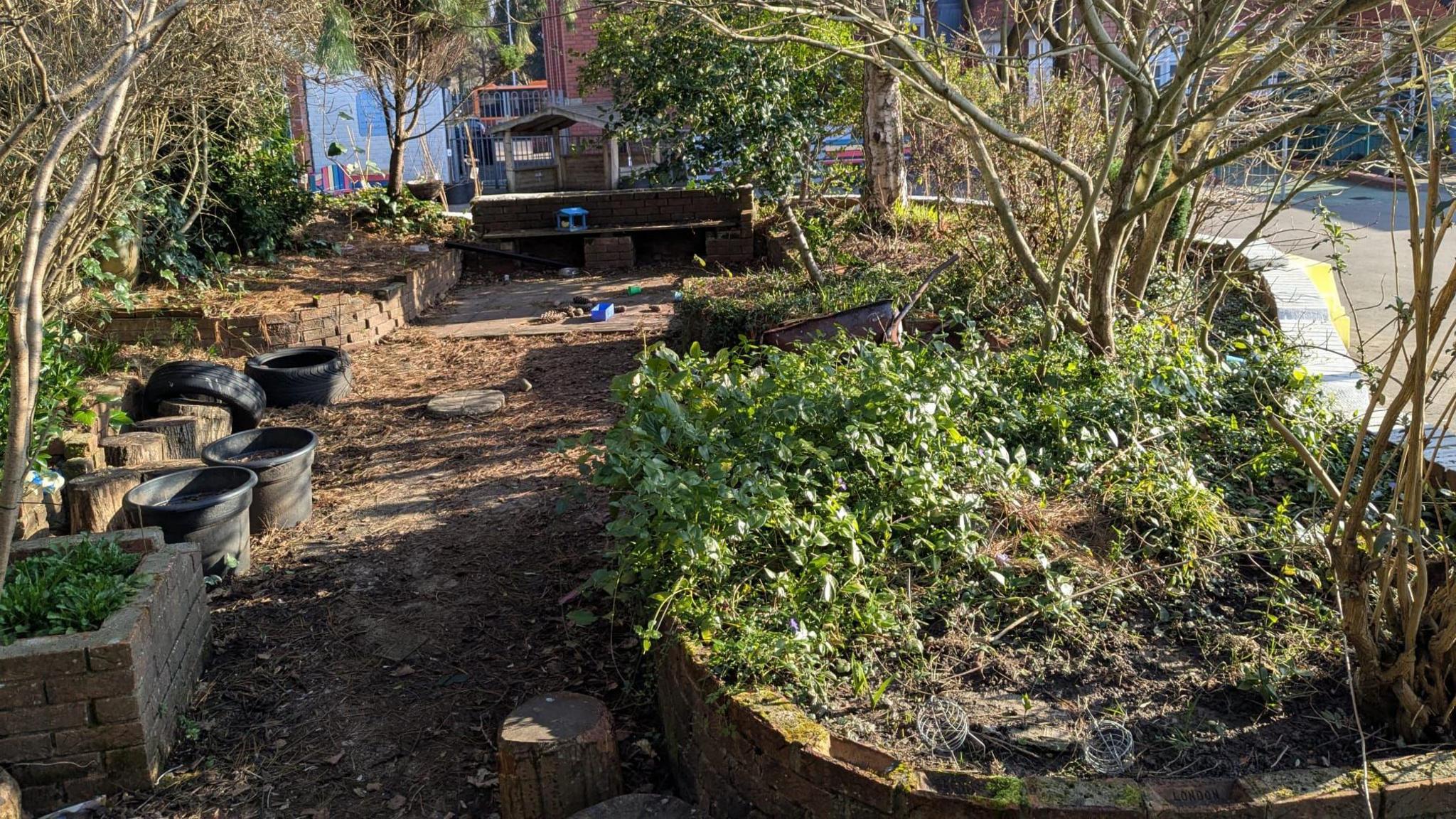 An overgrown garden bed and pathway at the back of Gladstone school. Trees are growing up from the beds and there are empty black plant plots 