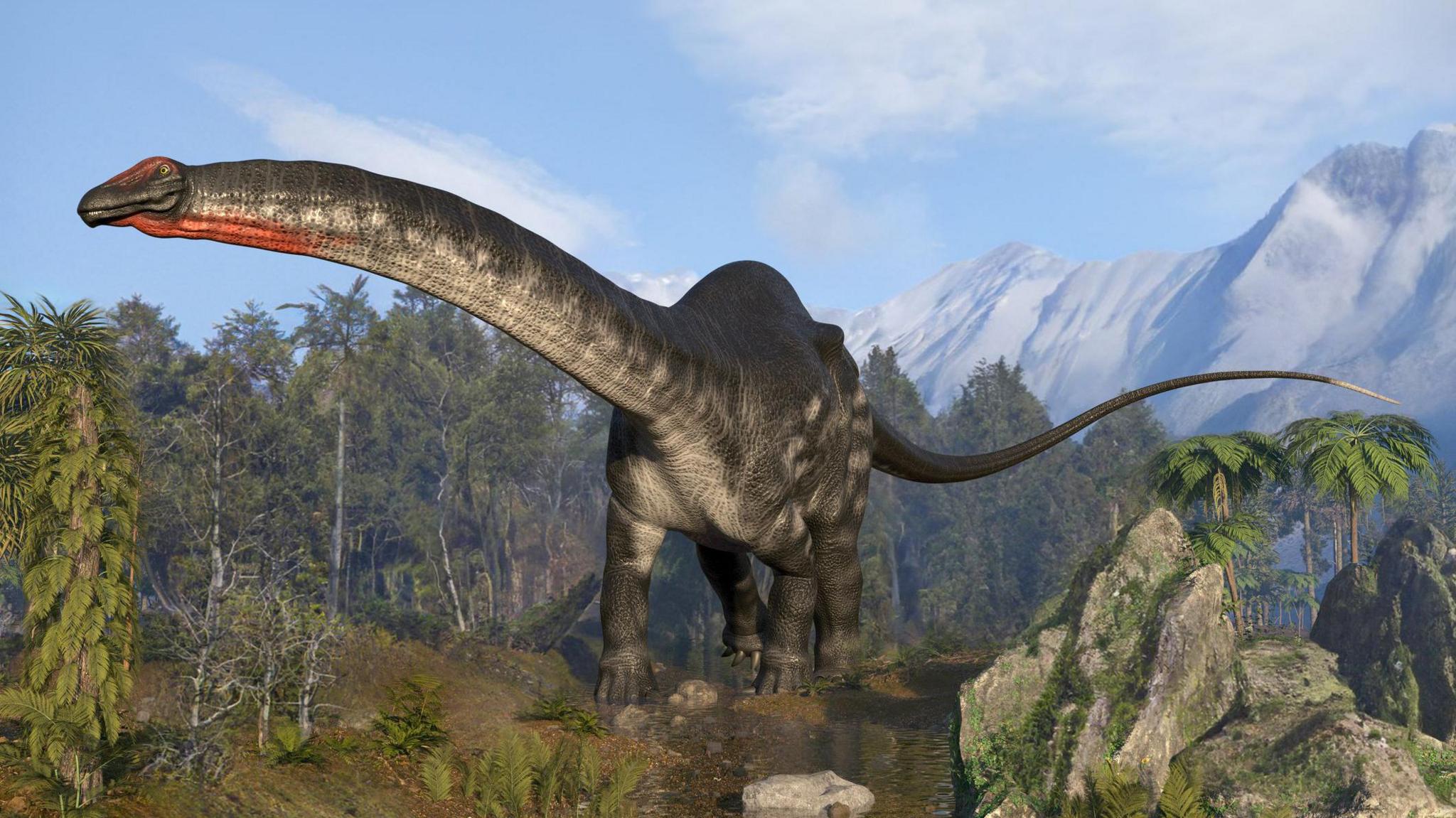 An illustration of what an apatosaurus may have looked like 150 million years ago