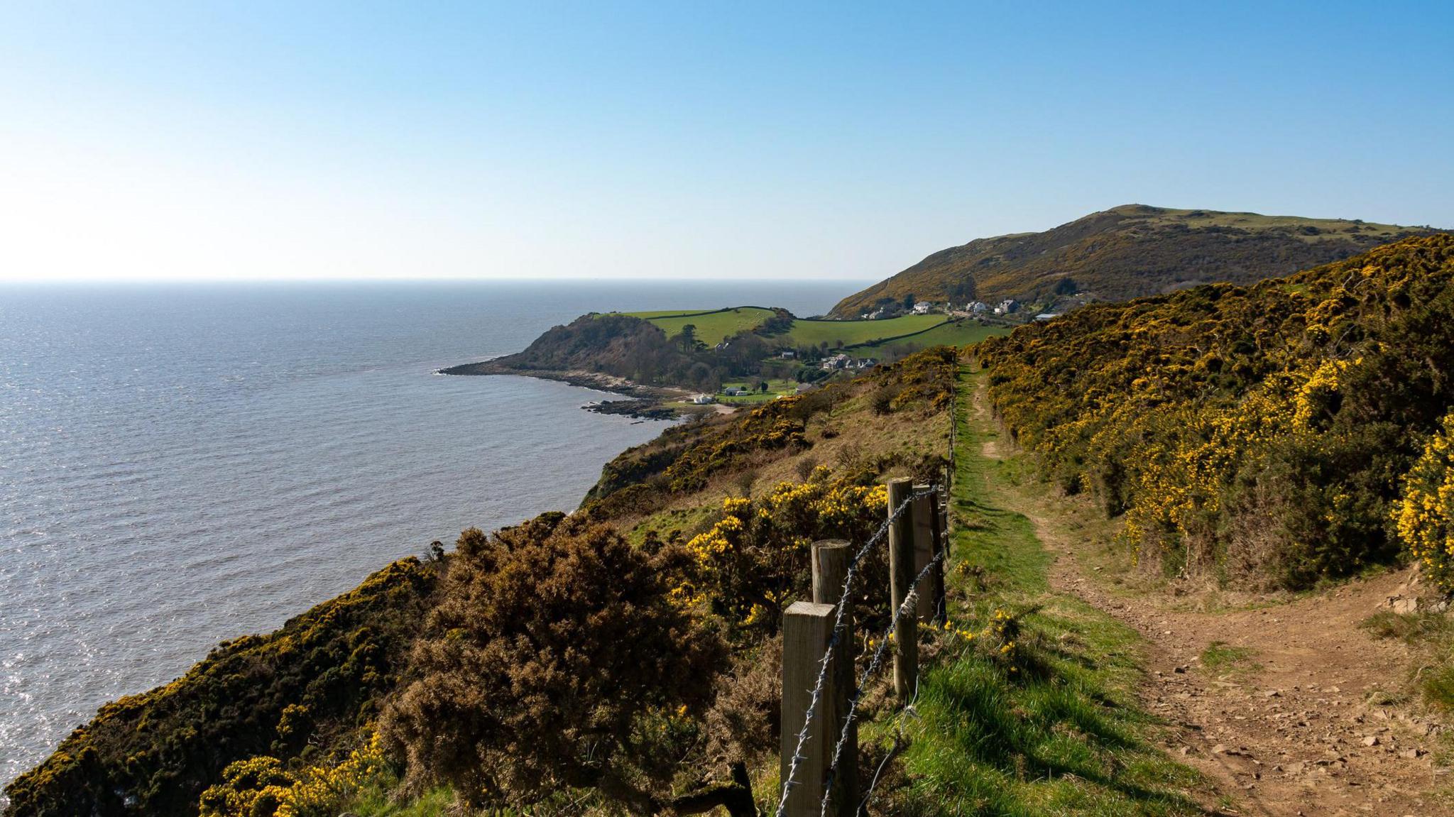 A view across the Solway coastline in the south of Scotland with a fence keeping people away from a steep drop and a few houses huddled around a bay in the distance at the end of a gorse-lined trail.