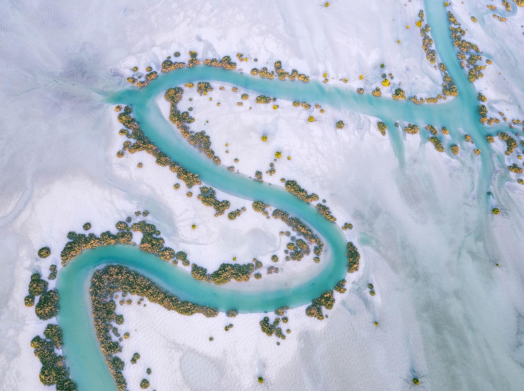 A water channel meanders gracefully, flanked by a verdant mangrove trees lining its edges, in Al Dhafra Region, Abu Dhabi