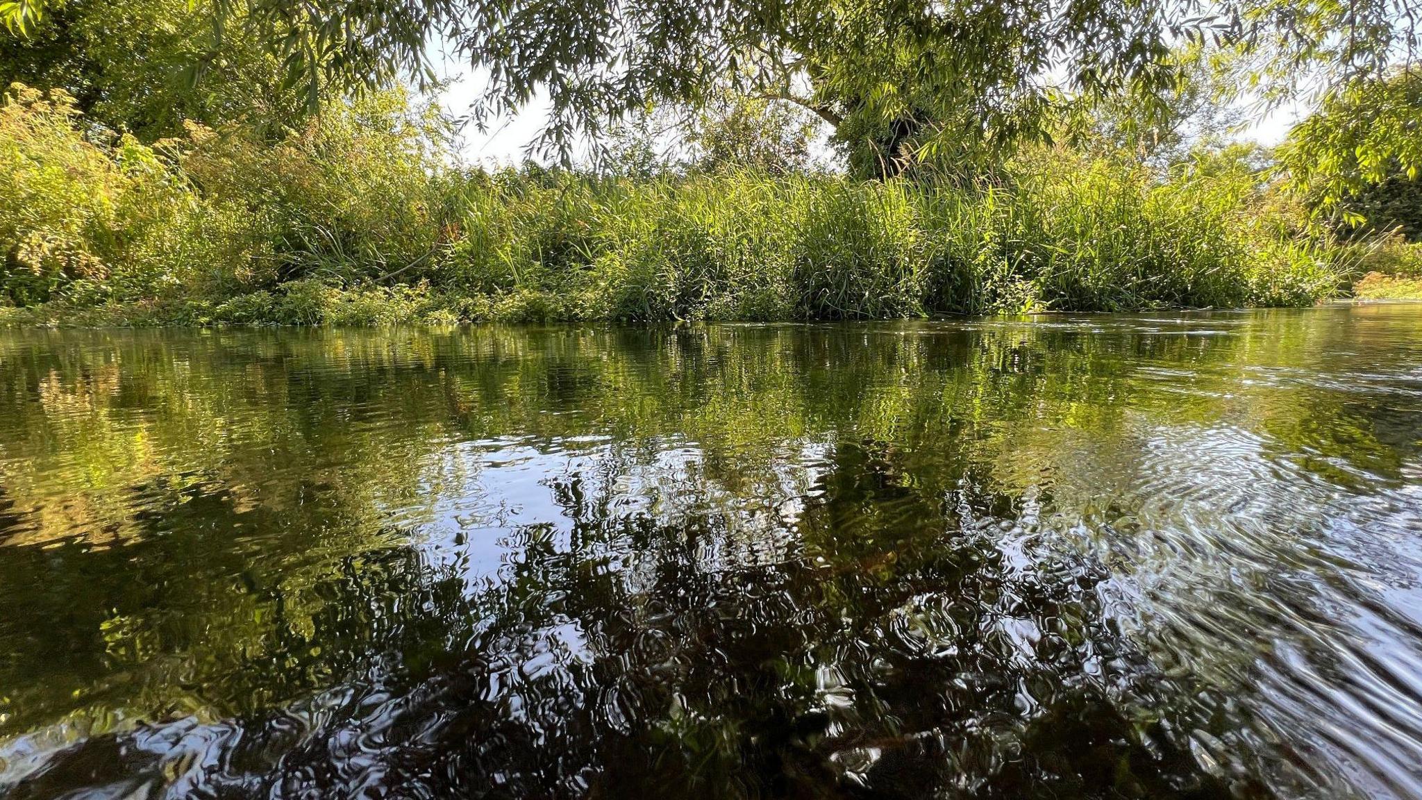 The River Pang on a sunny day. The shallow water reflects the sky and also a large amount of green plant life around the river.