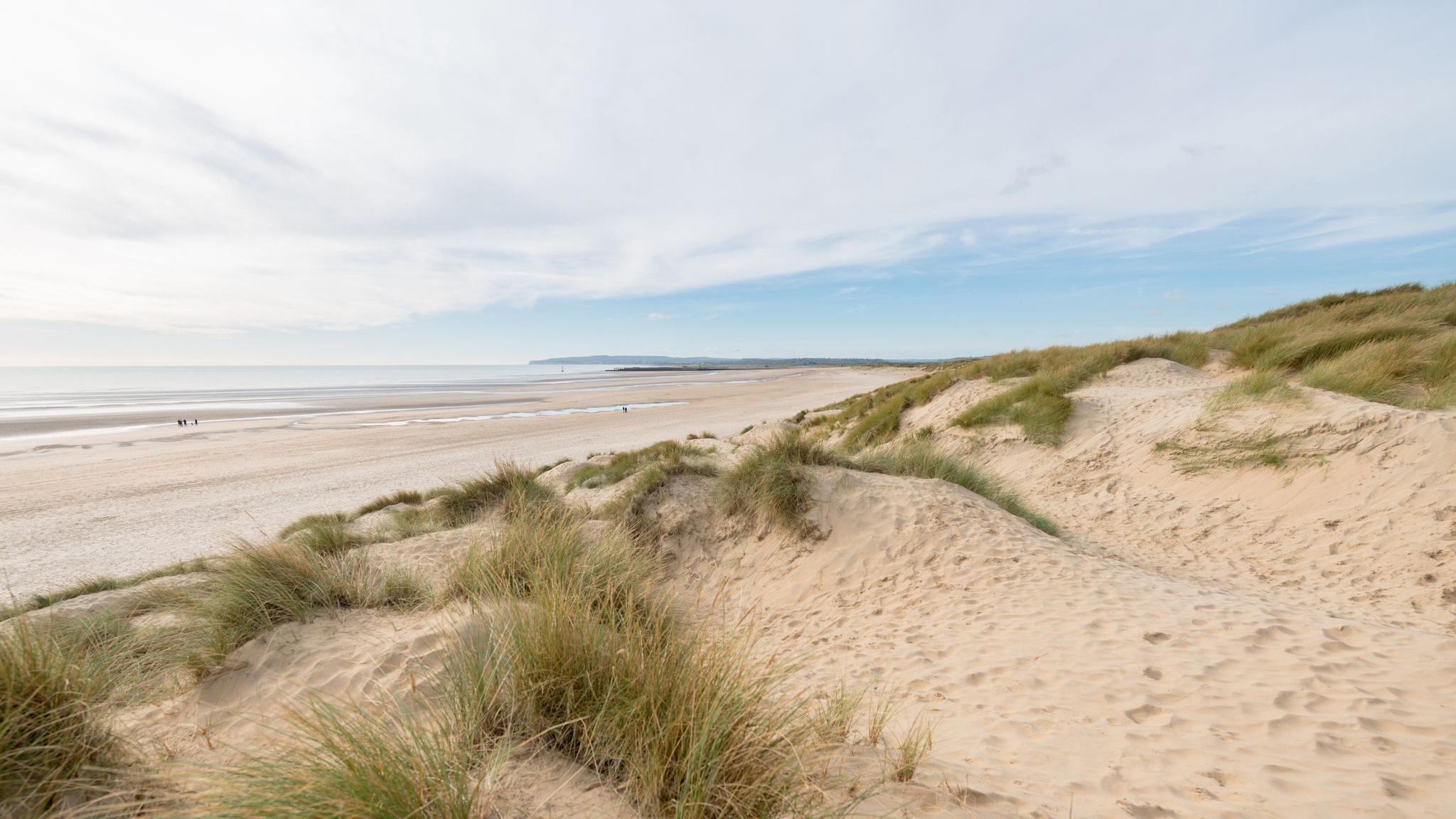 A sandy beach with mounds that have sparse long grass on them. 