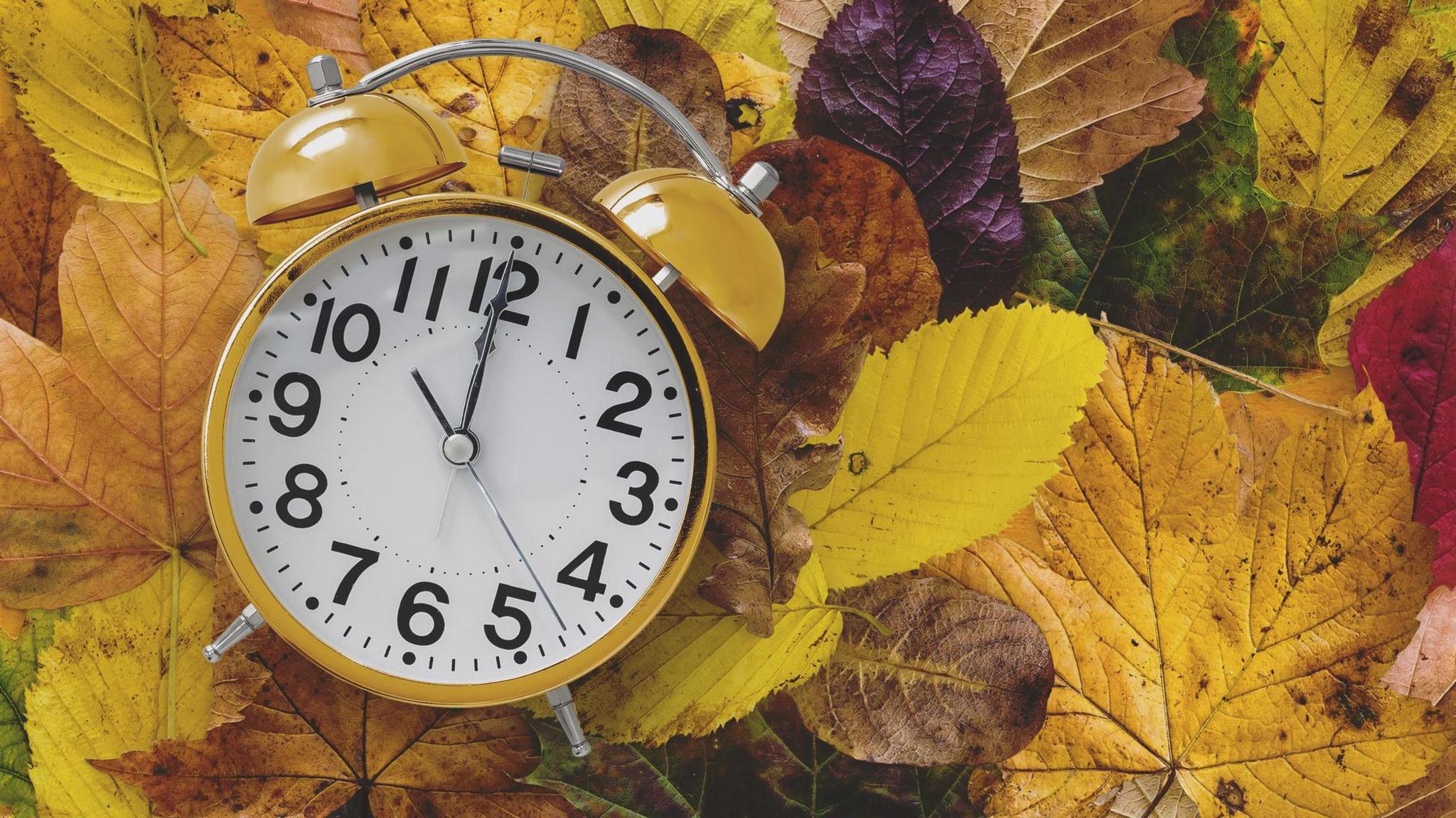 A stock photo of an old-fashioned analogue yellow alarm clock sitting on a pile of yellow, brown, green and red fallen leaves