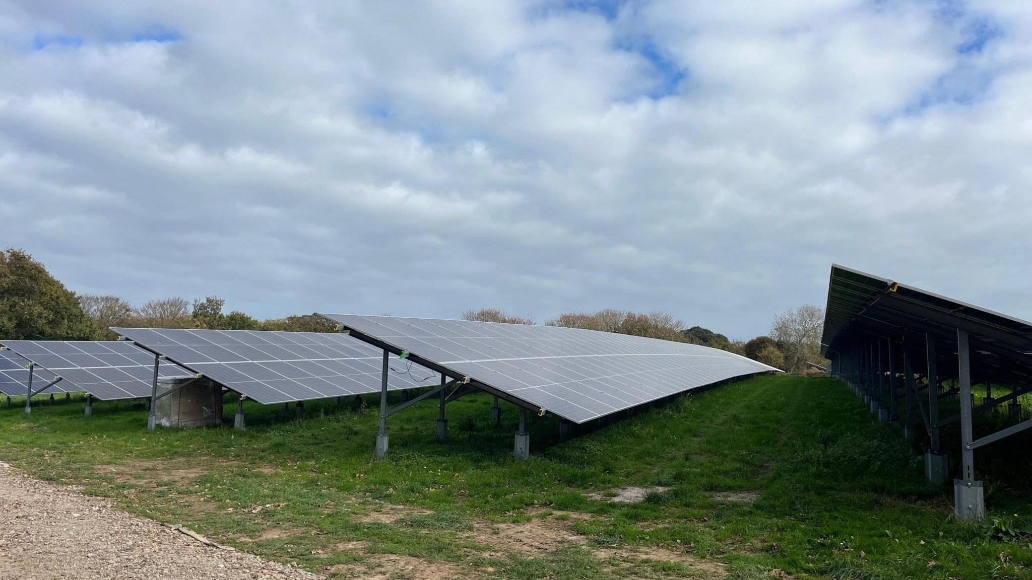 solar panels in field