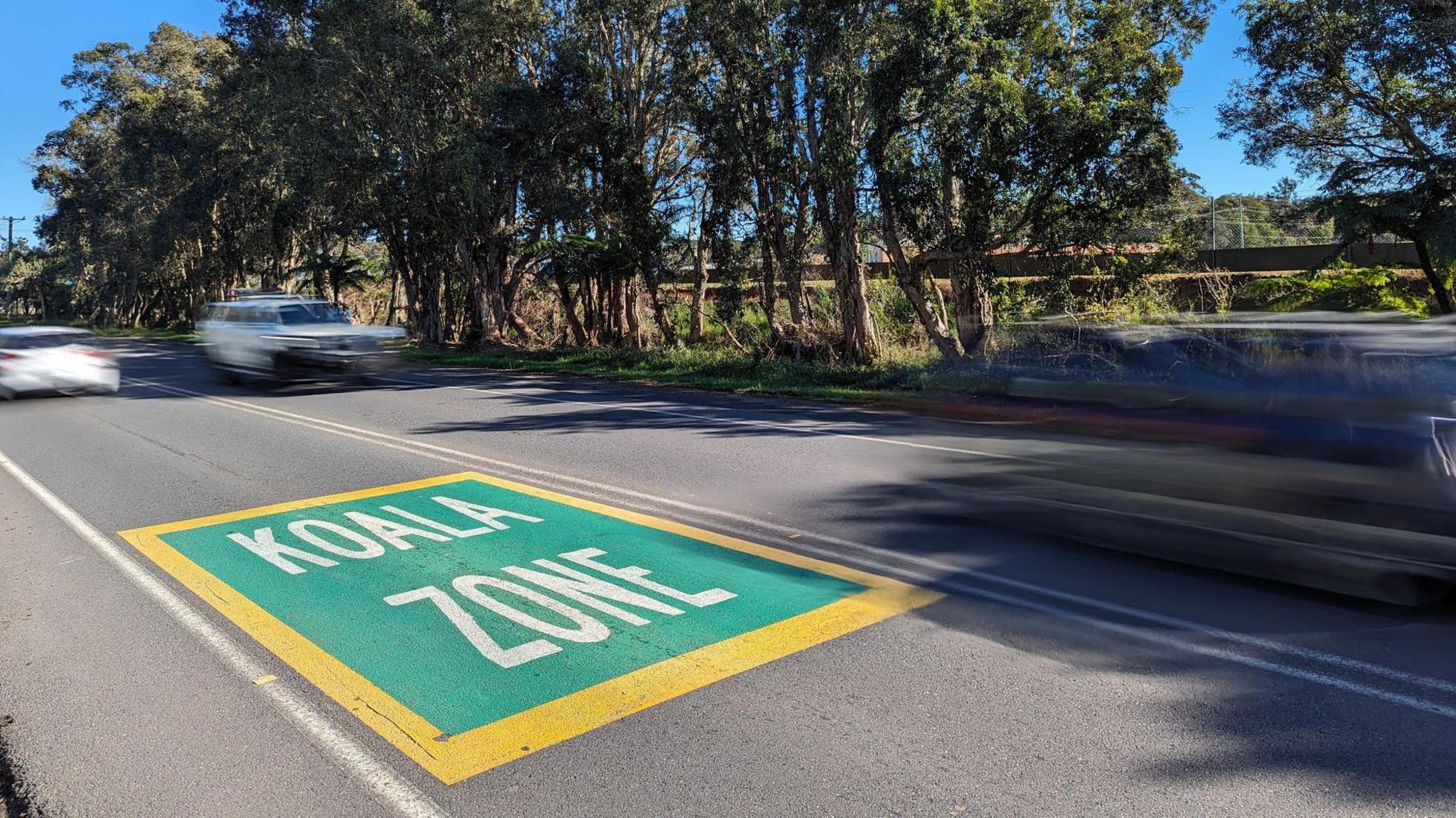 A road in Australia is painted with a green and yellow warning sign saying "Koala Zone". 