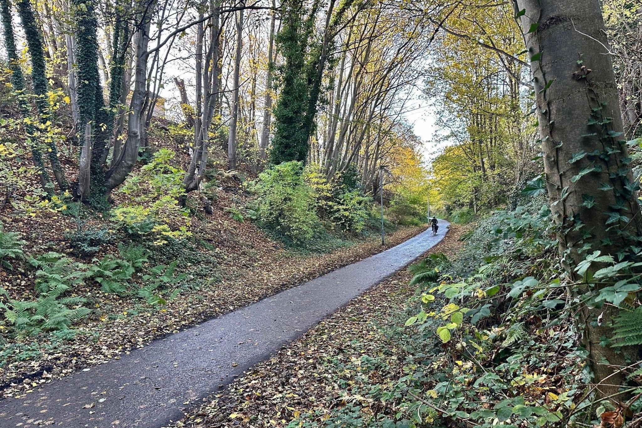 A cyclist on the path which sweeps round to the left. There are trees on both sides of the path.