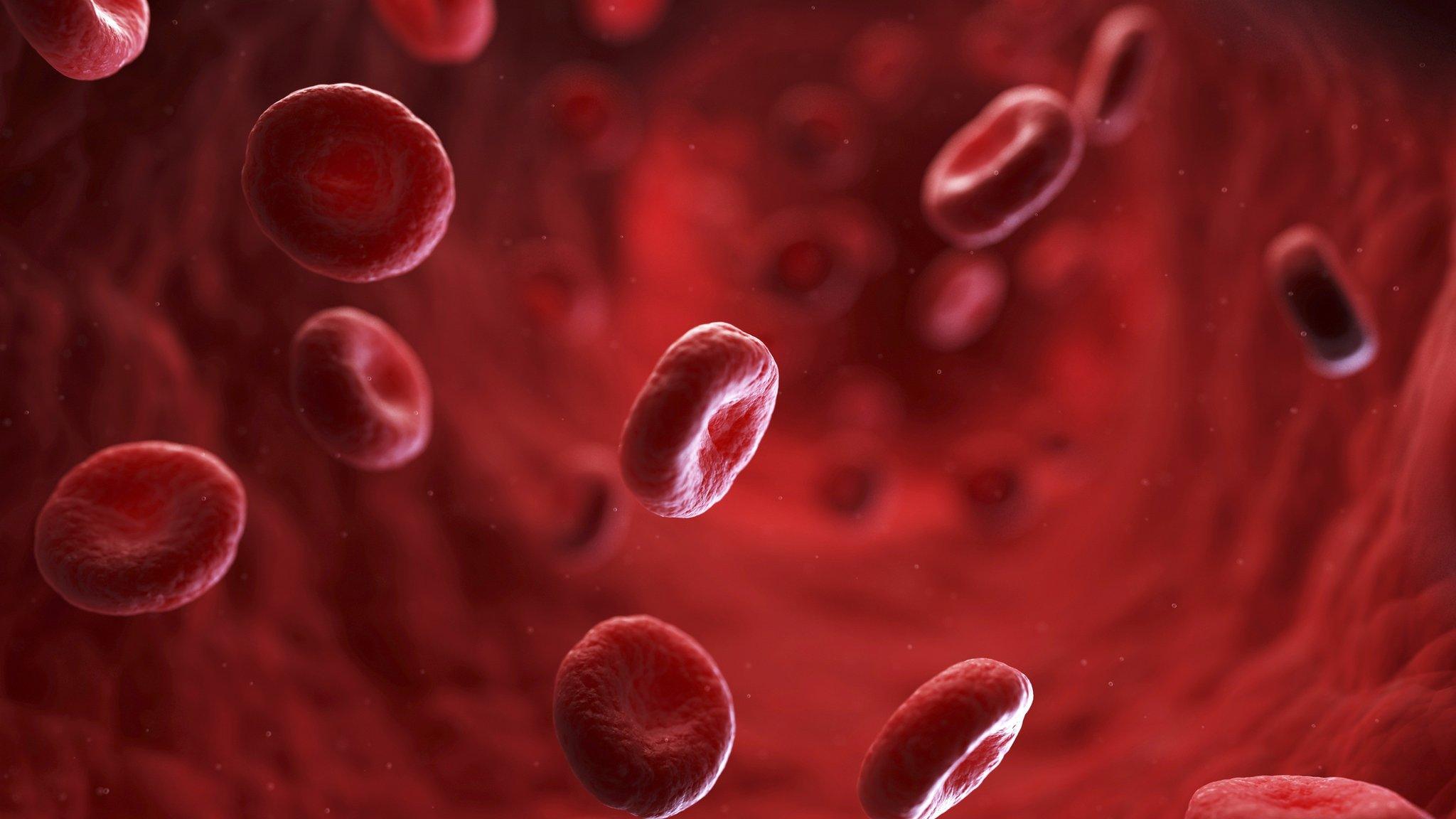 Illustration of red blood cells in a blood vessel.