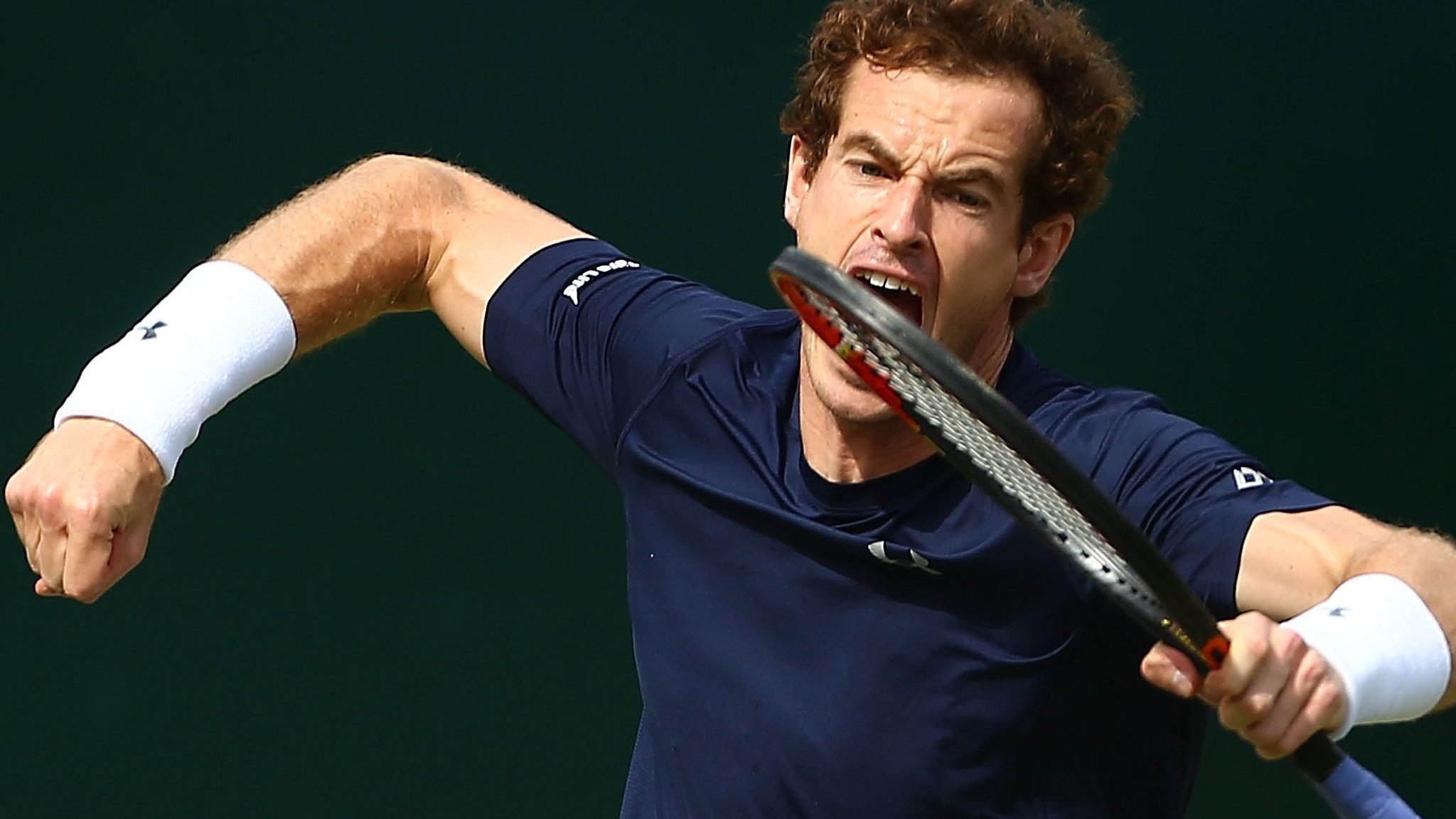 Andy Murray celebrates