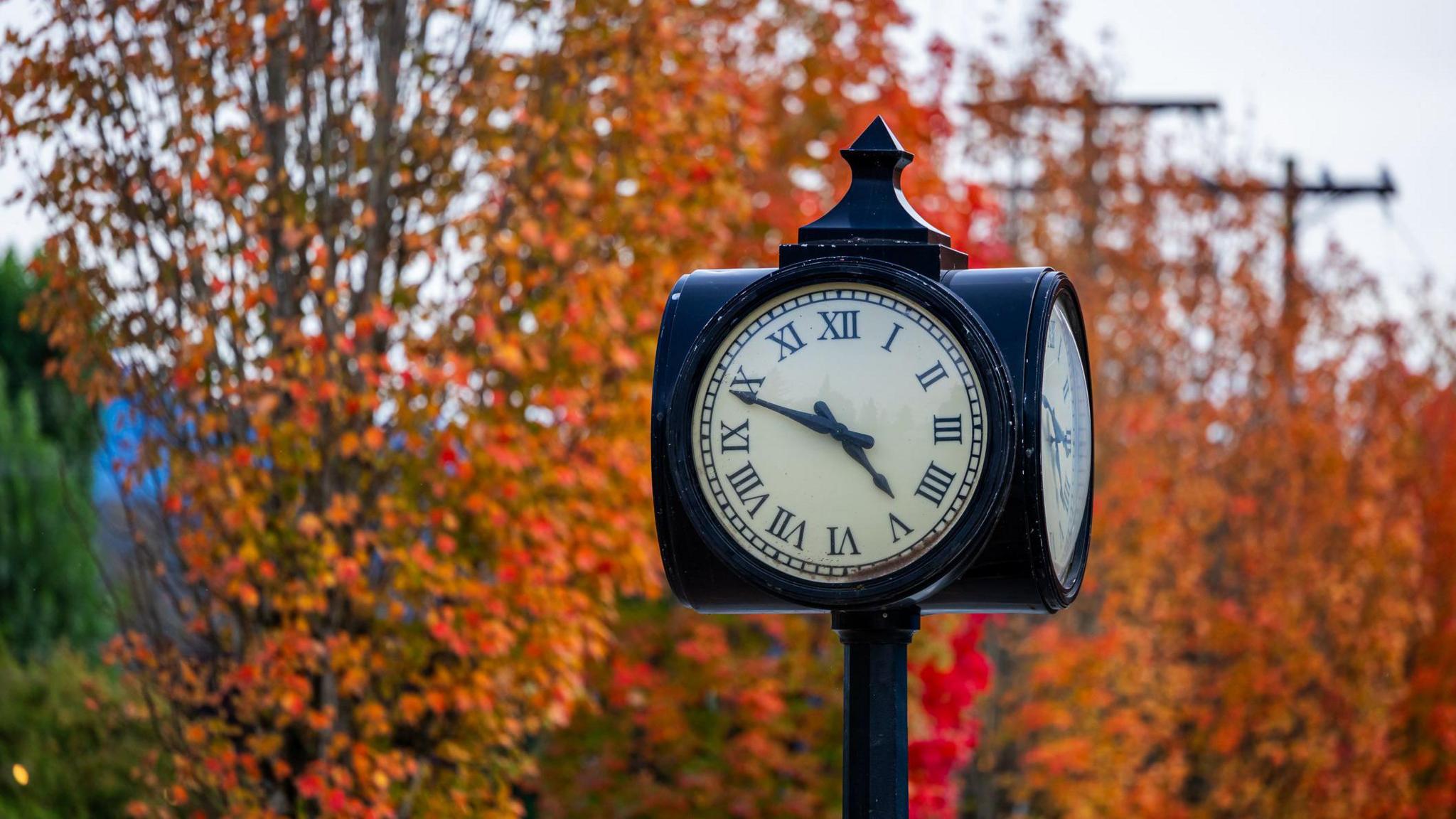 photo of an clock with roman numerals on a post. Trees in the background looking very autumnal with orange and golden leaves.