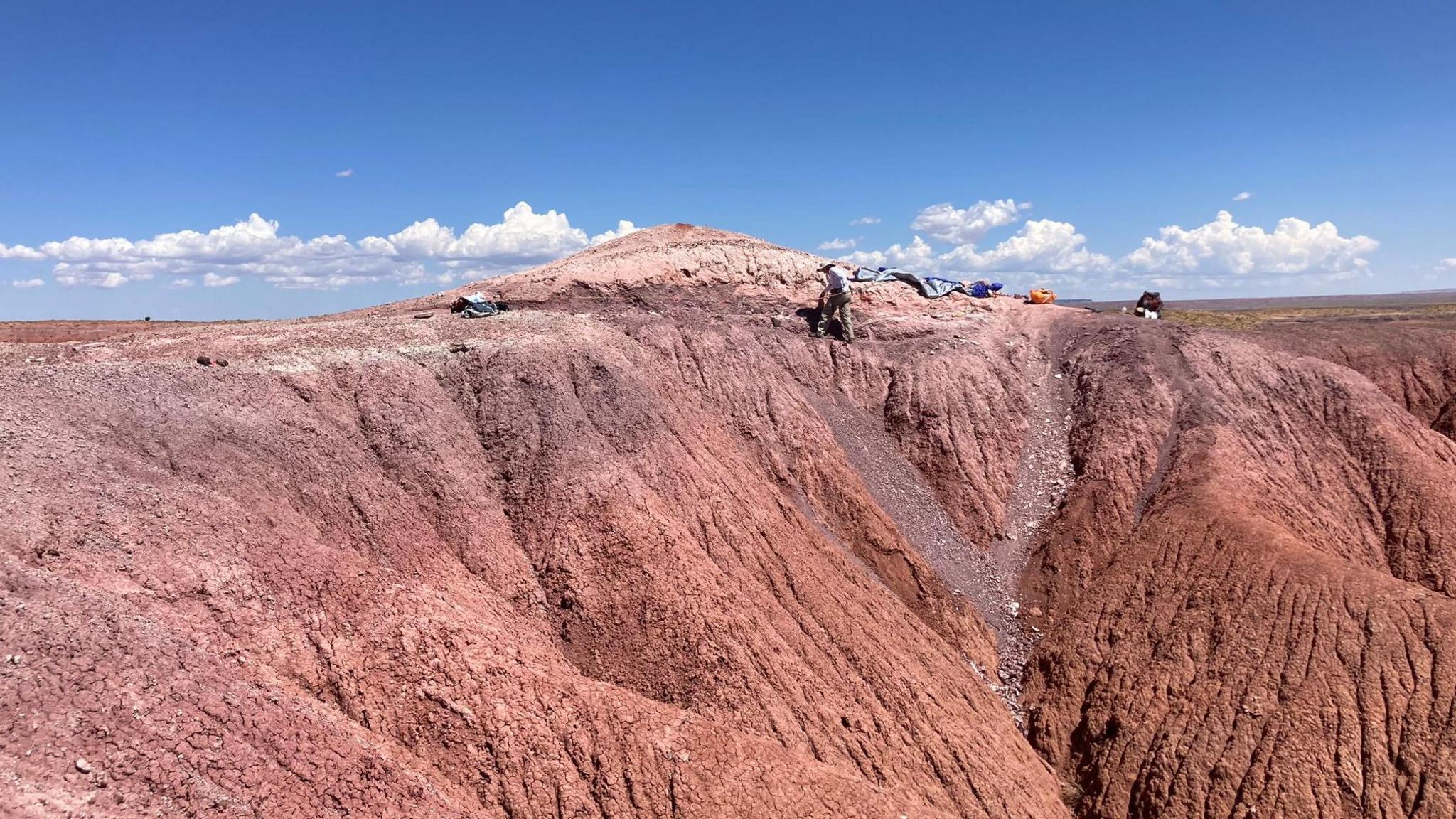 The image shows a large, pinkish rock formation with a group of scientists at work on the rock. The site is in Arizona, where rock formations that are more than 200 million years old have preserved and fossilised the remains of animals.
