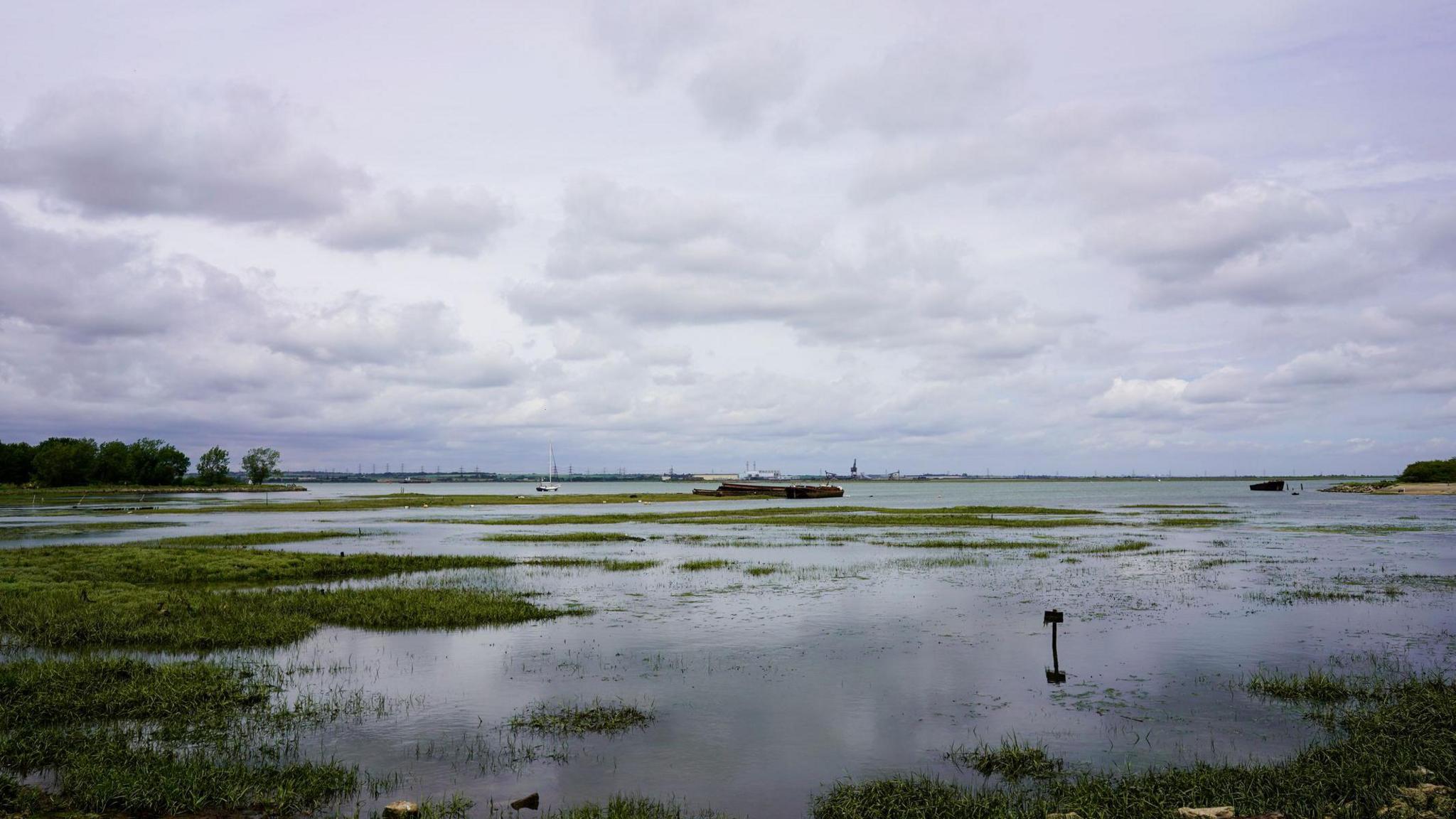 An estuary marsh flooded with water. Large puddles of water sit in the marsh with green grass poking through the water.