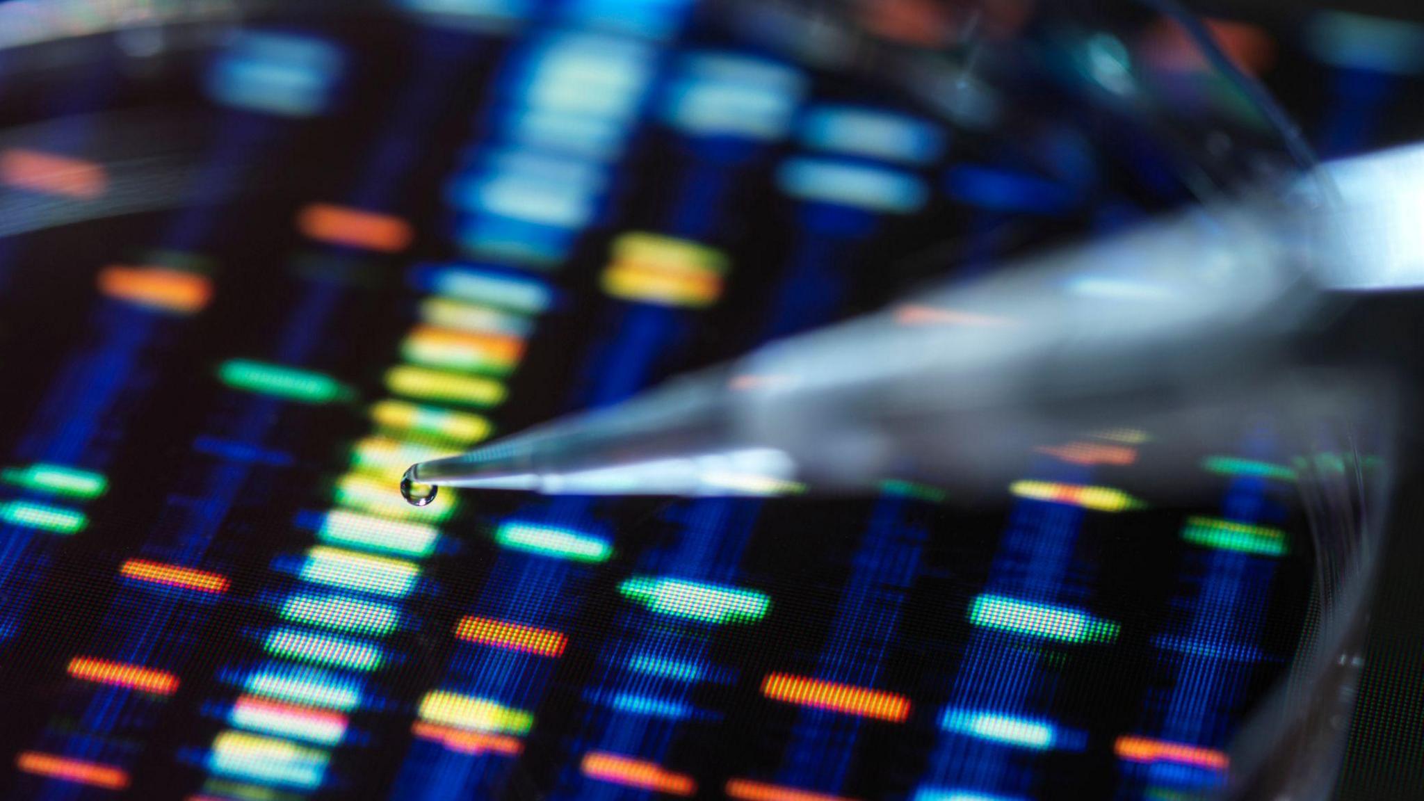 A DNA sample is pipetted onto a colourful tray for testing.