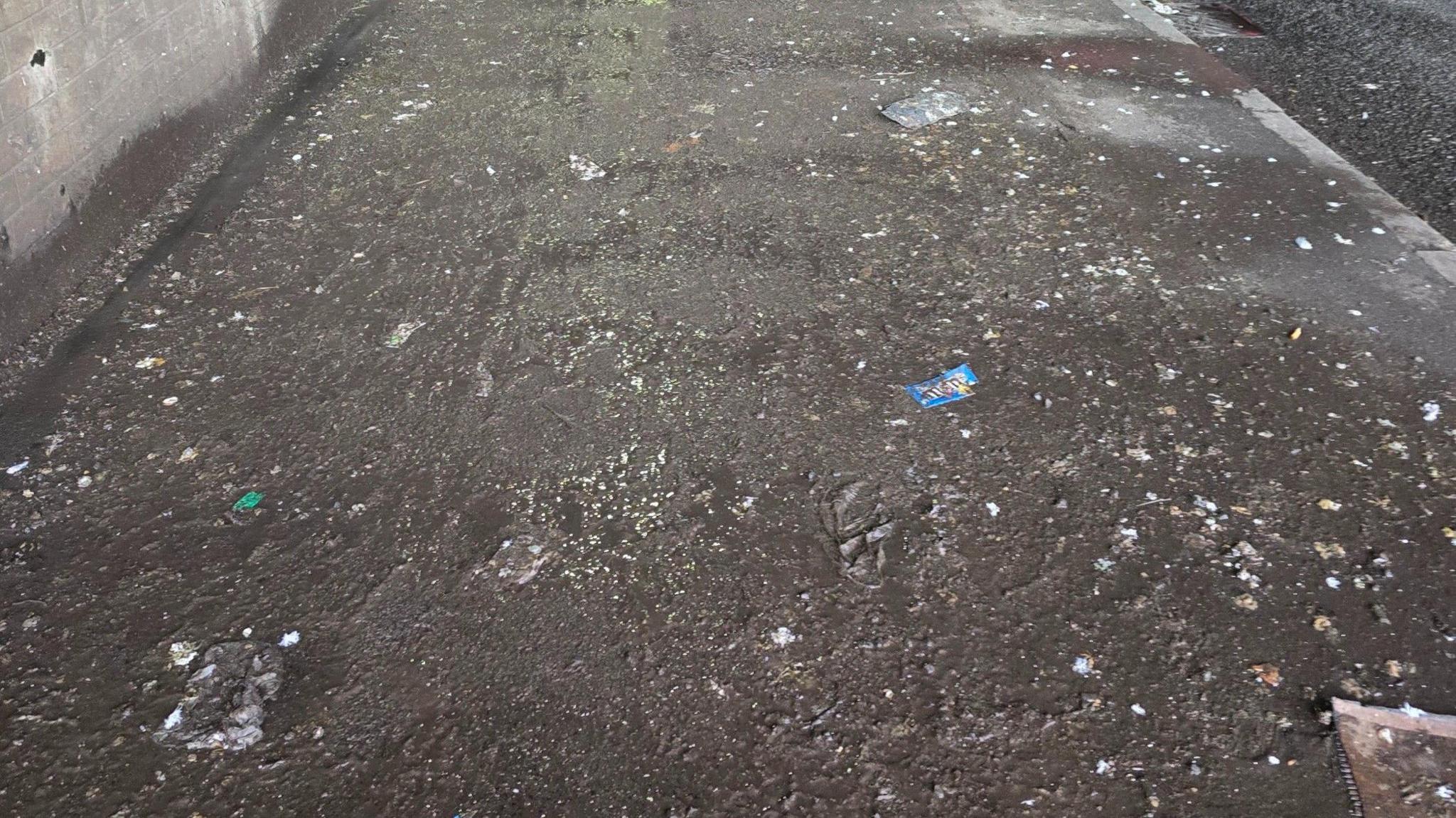 Pigeon poo and slushy grime over the pavement with litter dotted around.