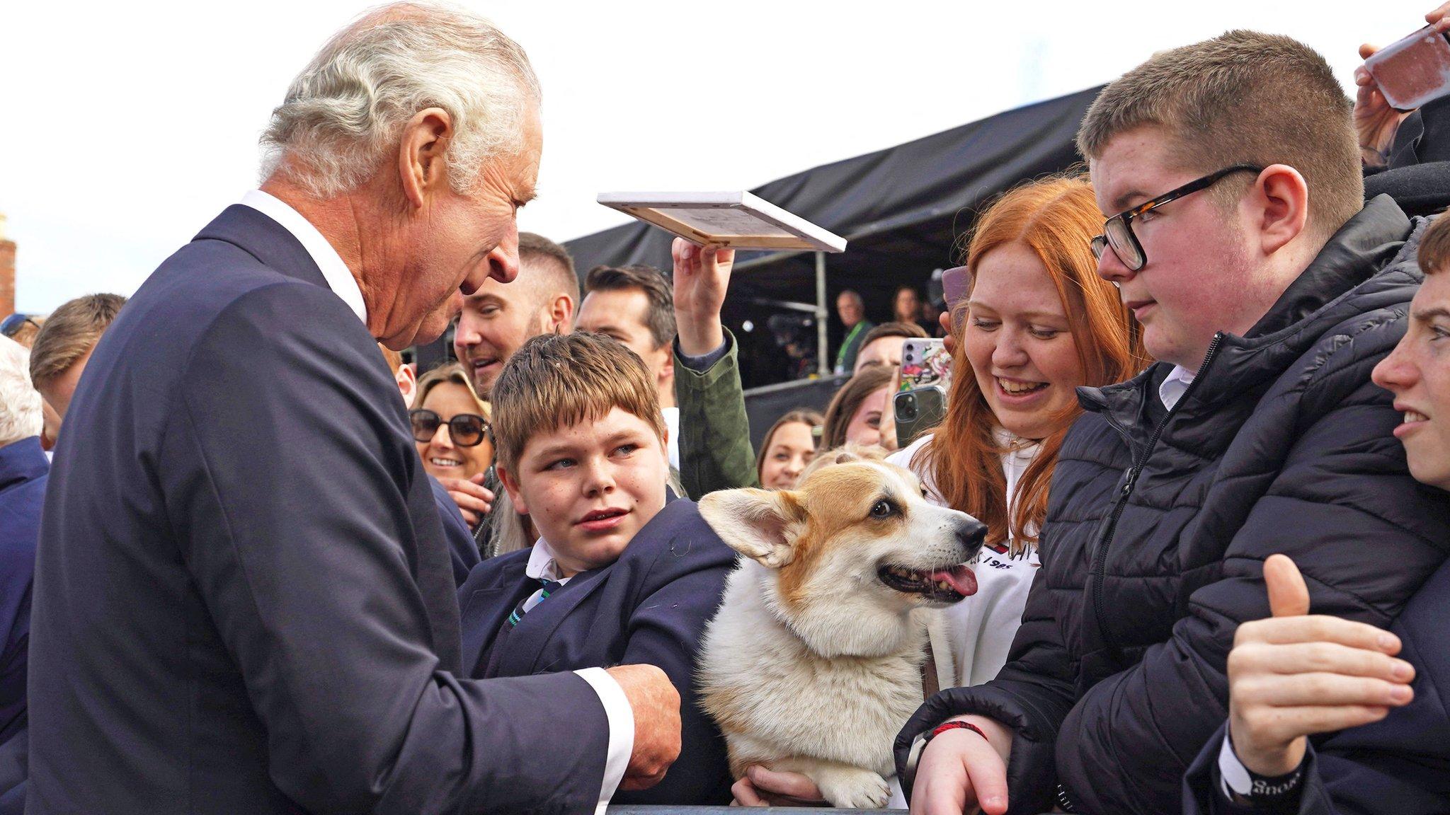 King Charles greets Connie the corgi among the crowds of people outside Hillsborough Castle