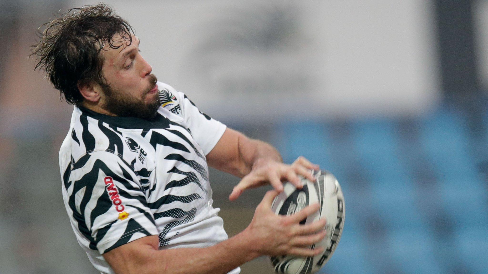 Zebre rugby