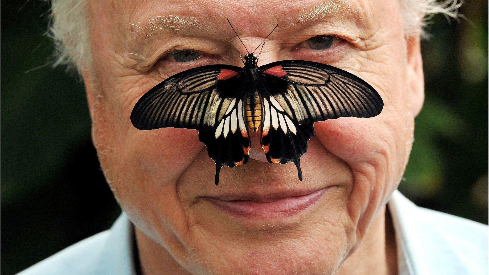 Sir David Attenborough