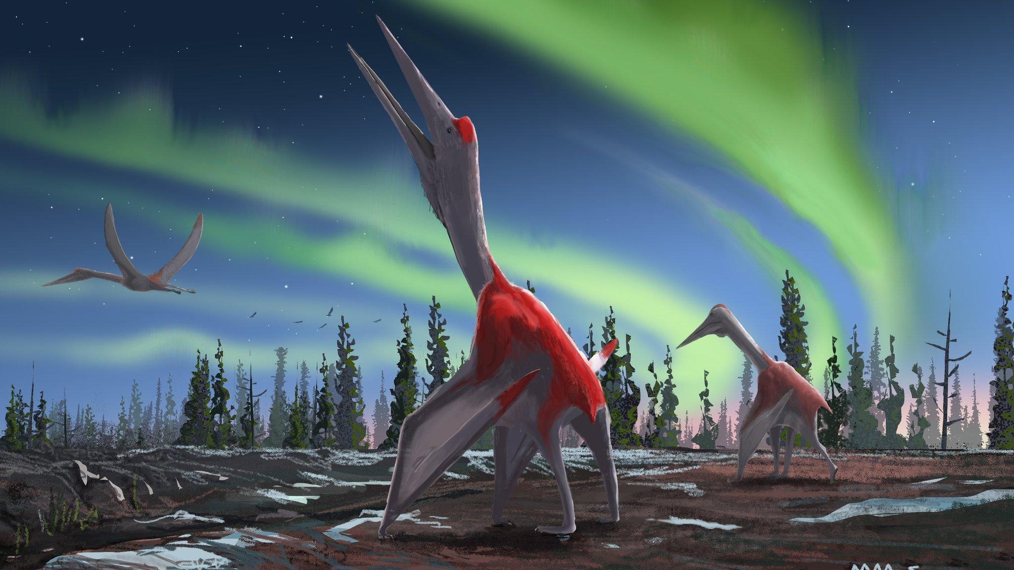 Illustration of new pterosaur